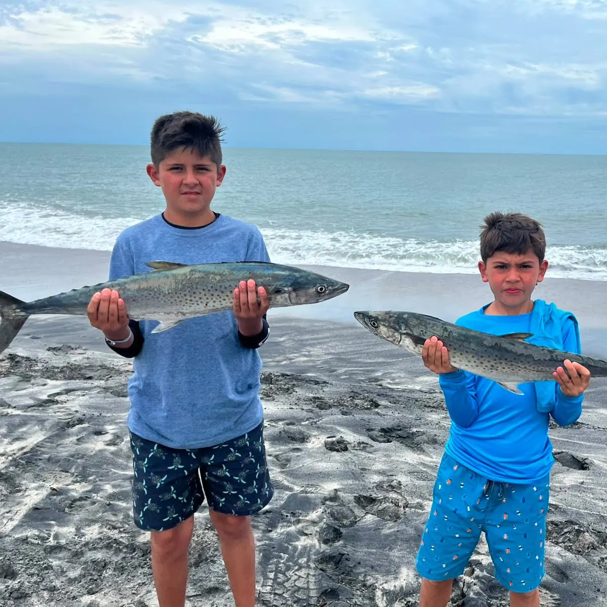 The most recent Spanish mackerel catches on Fishbrain