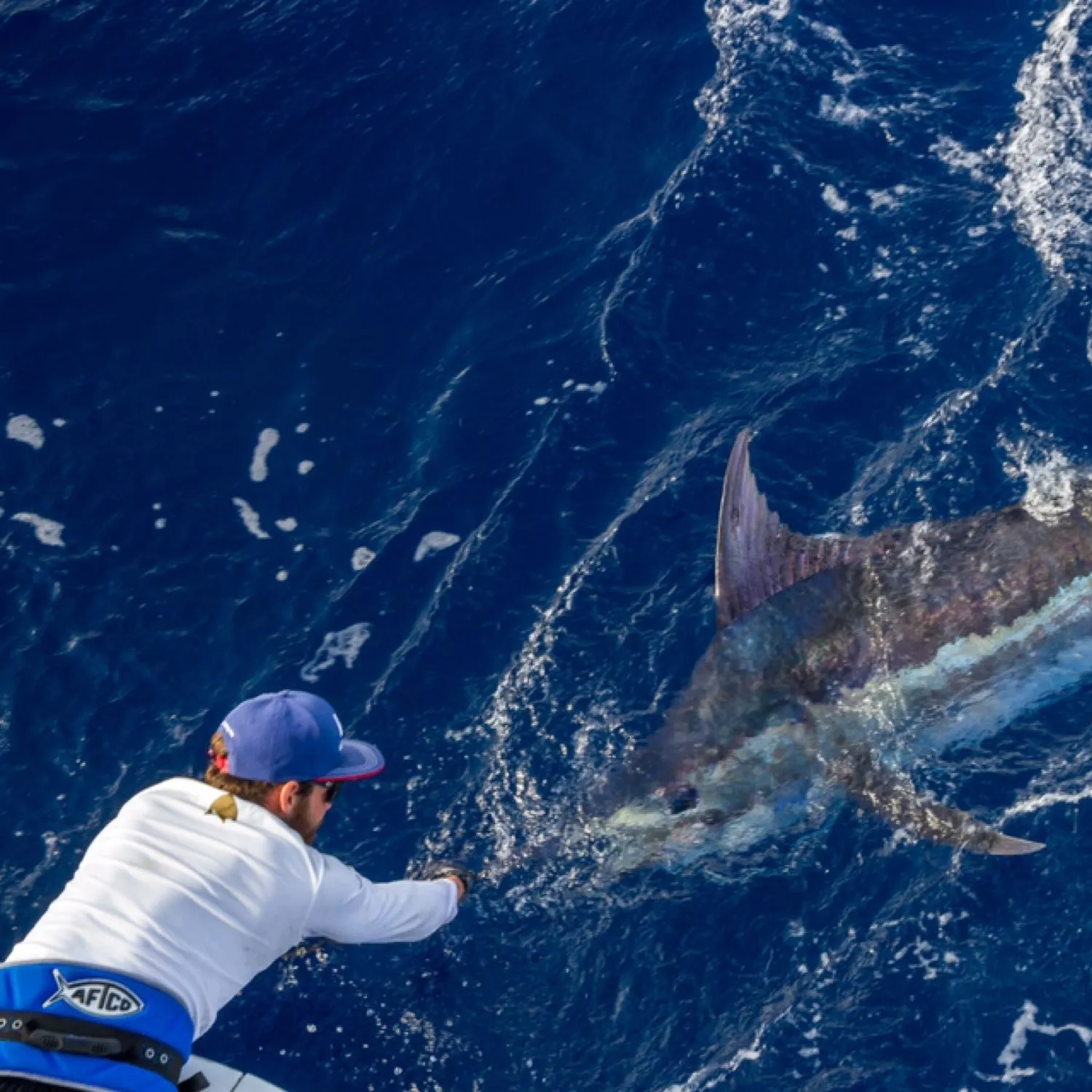 The most popular recent Atlantic blue marlin catch on Fishbrain