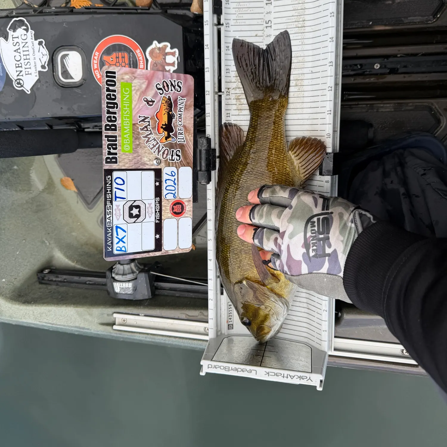 Smallmouth bass caught on Fishbrain