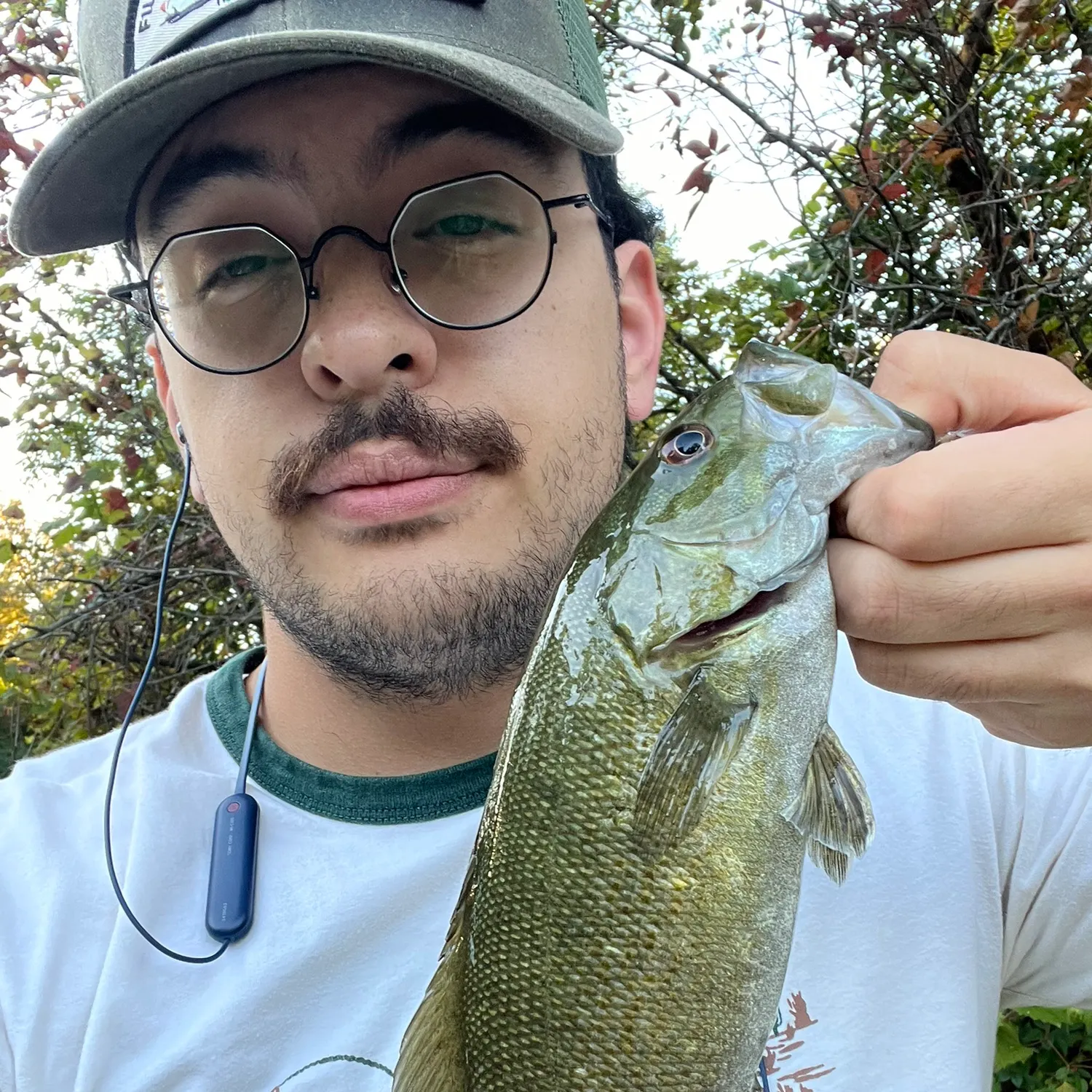 Smallmouth bass caught on Fishbrain
