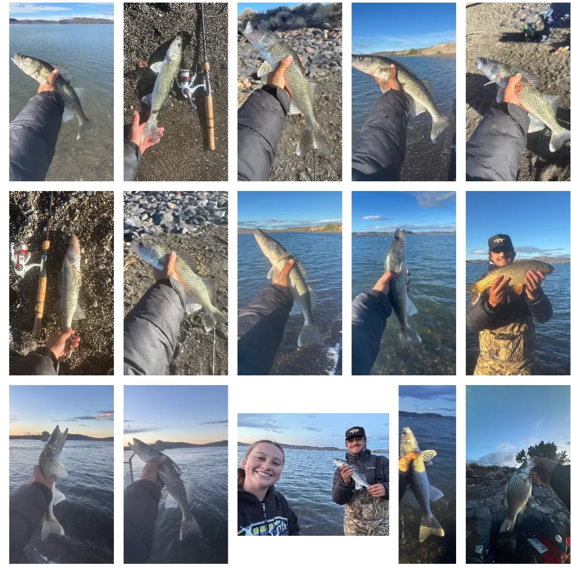 recently logged catches