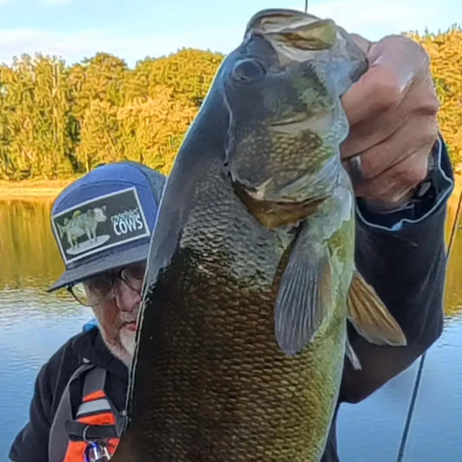 Smallmouth bass caught on Fishbrain