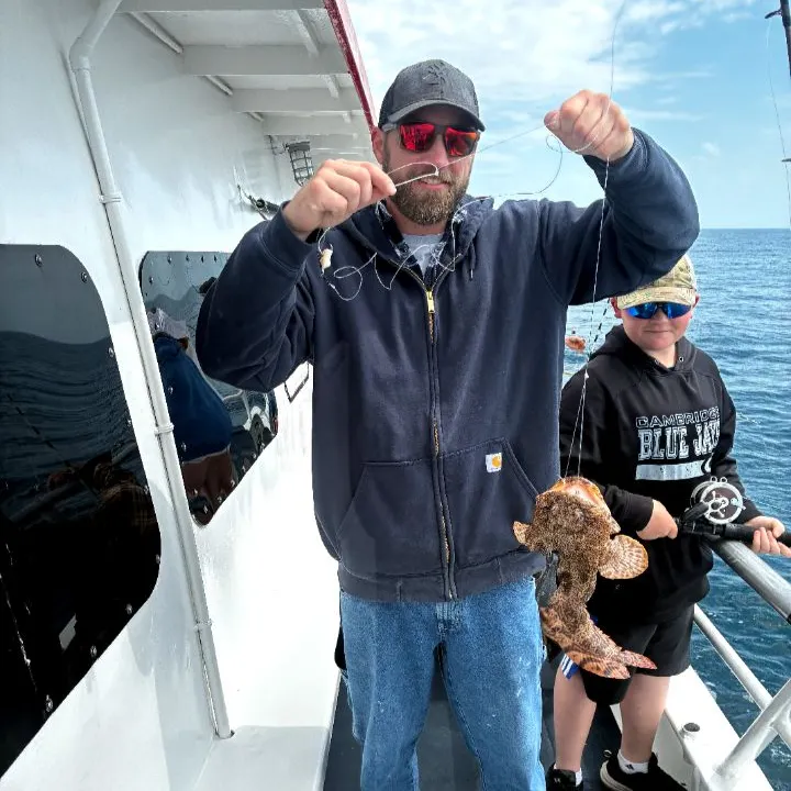 The most recent Oyster toadfish catches on Fishbrain