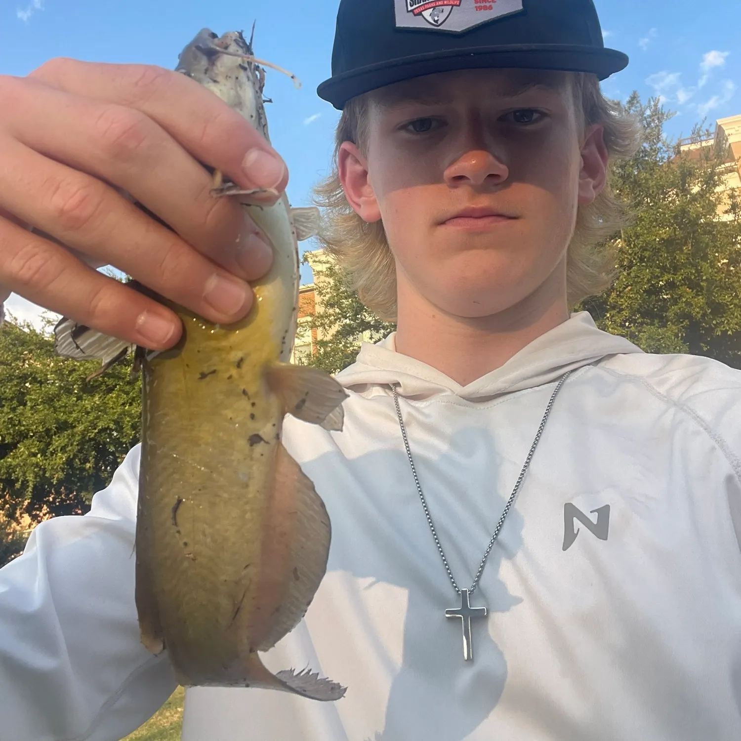 Yellow bullhead caught on Fishbrain