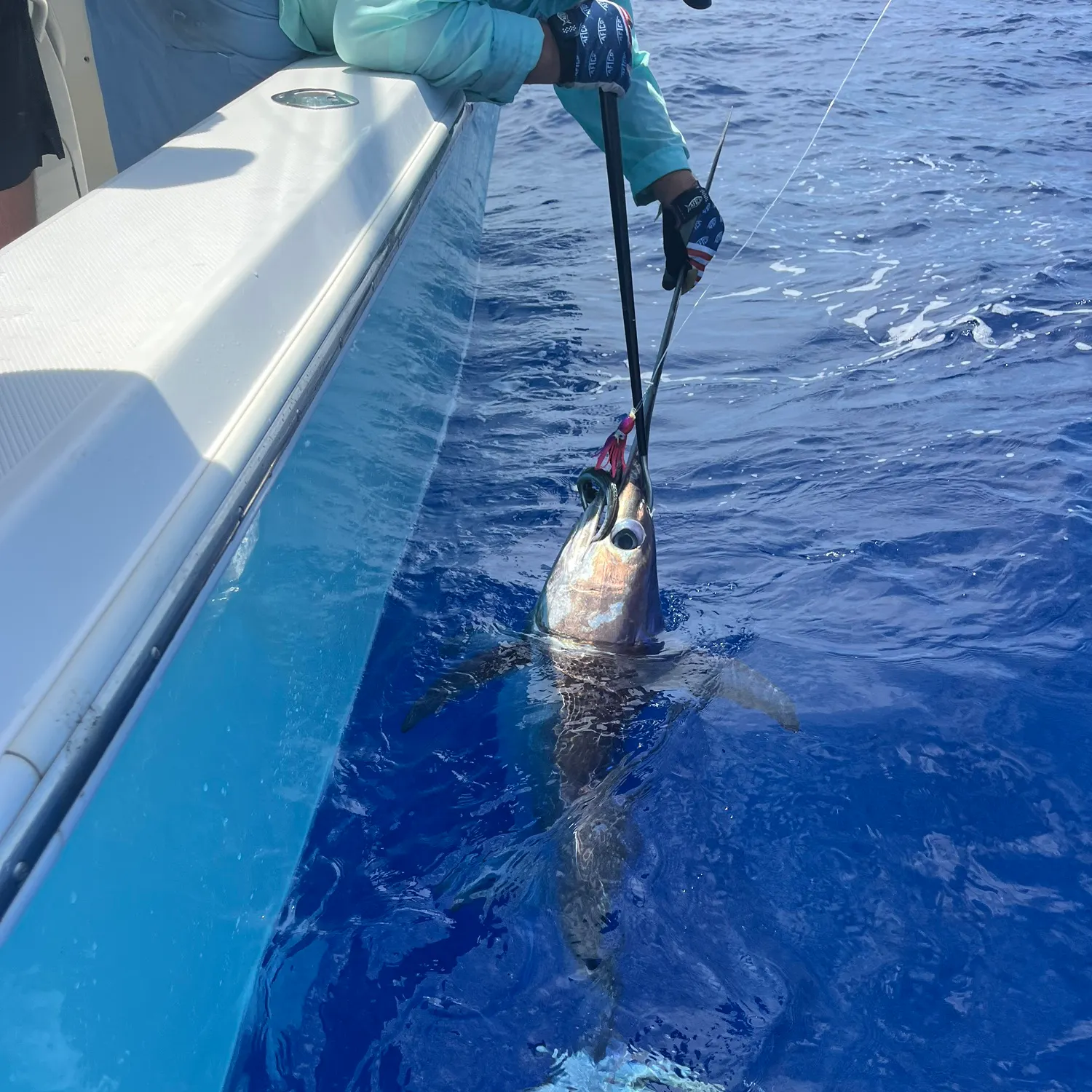 The most recent Swordfish catches on Fishbrain