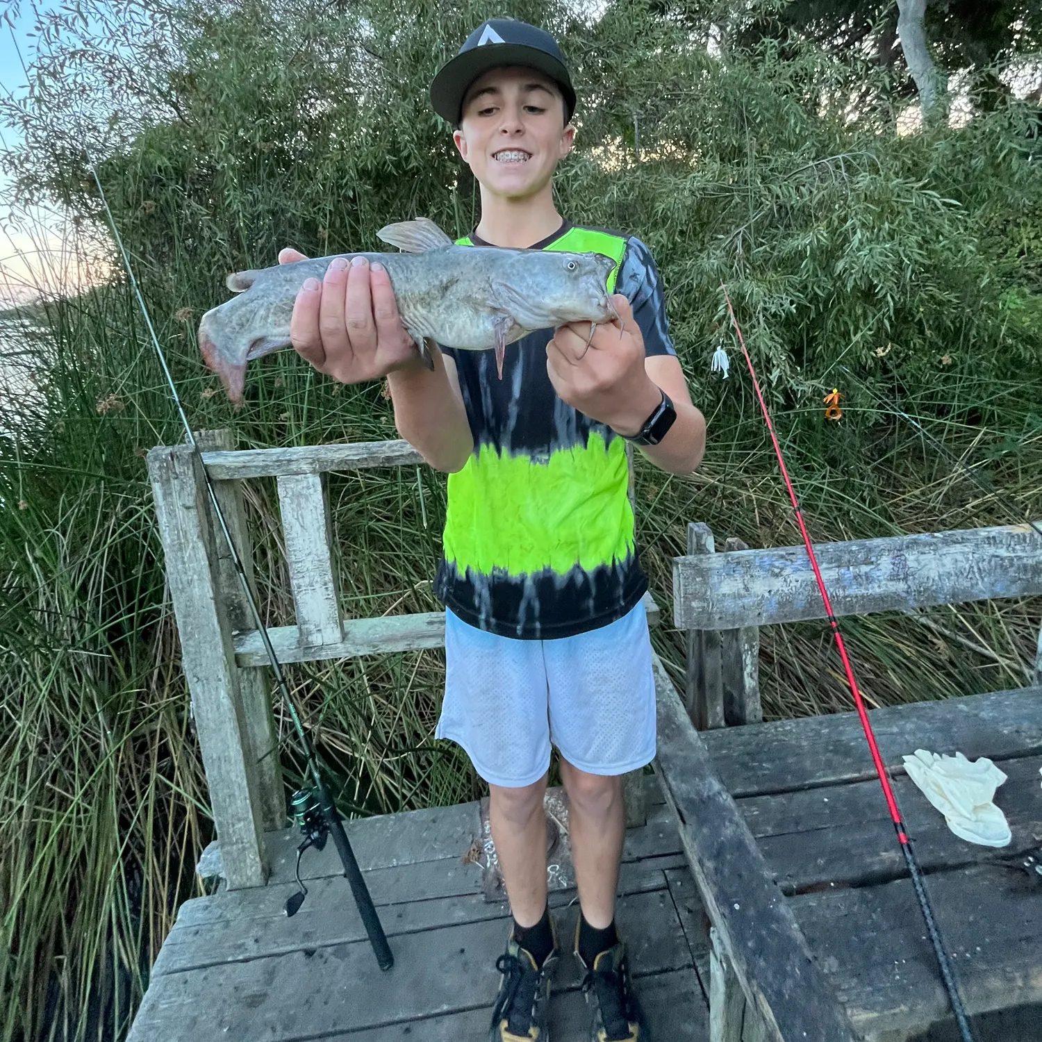 White bullhead caught on Fishbrain