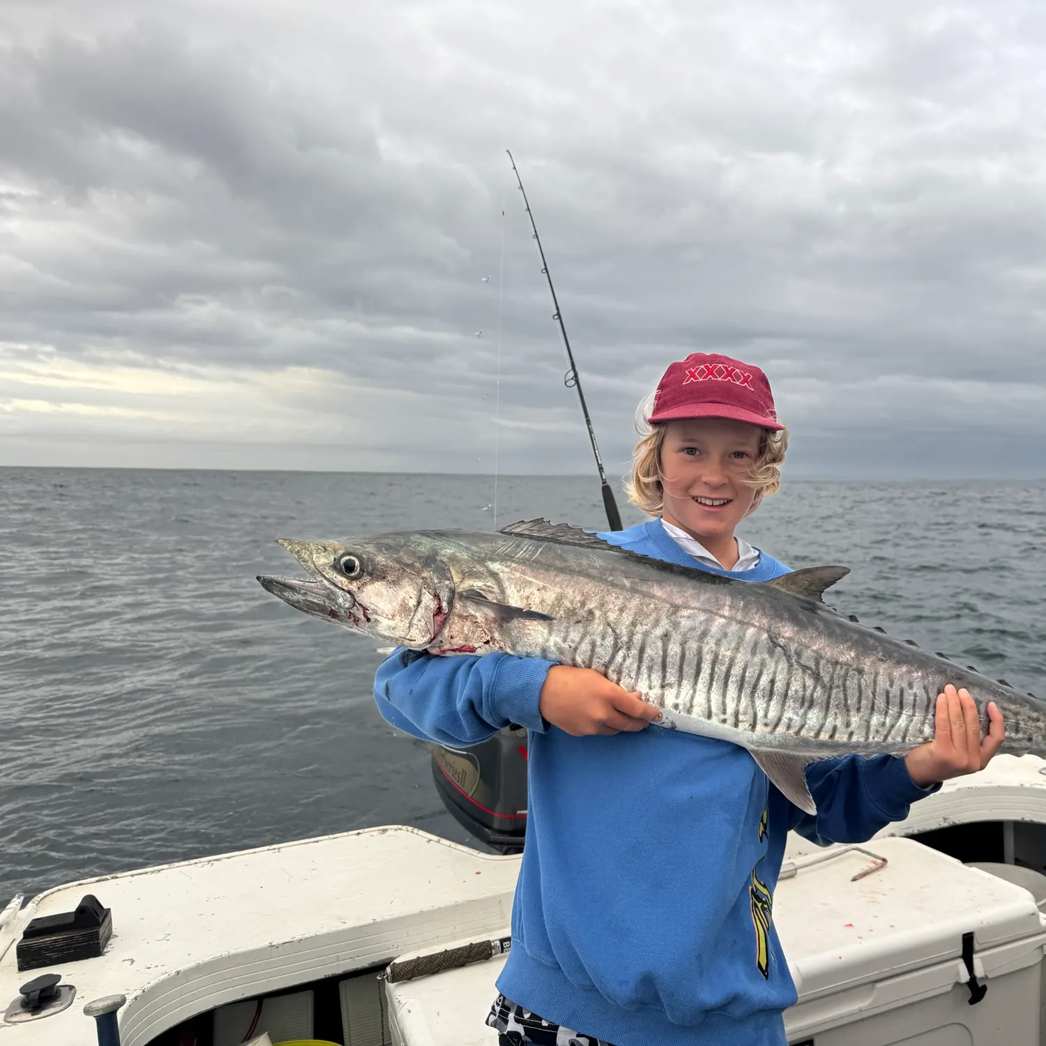 The most recent Narrow-barred Spanish mackerel catches on Fishbrain