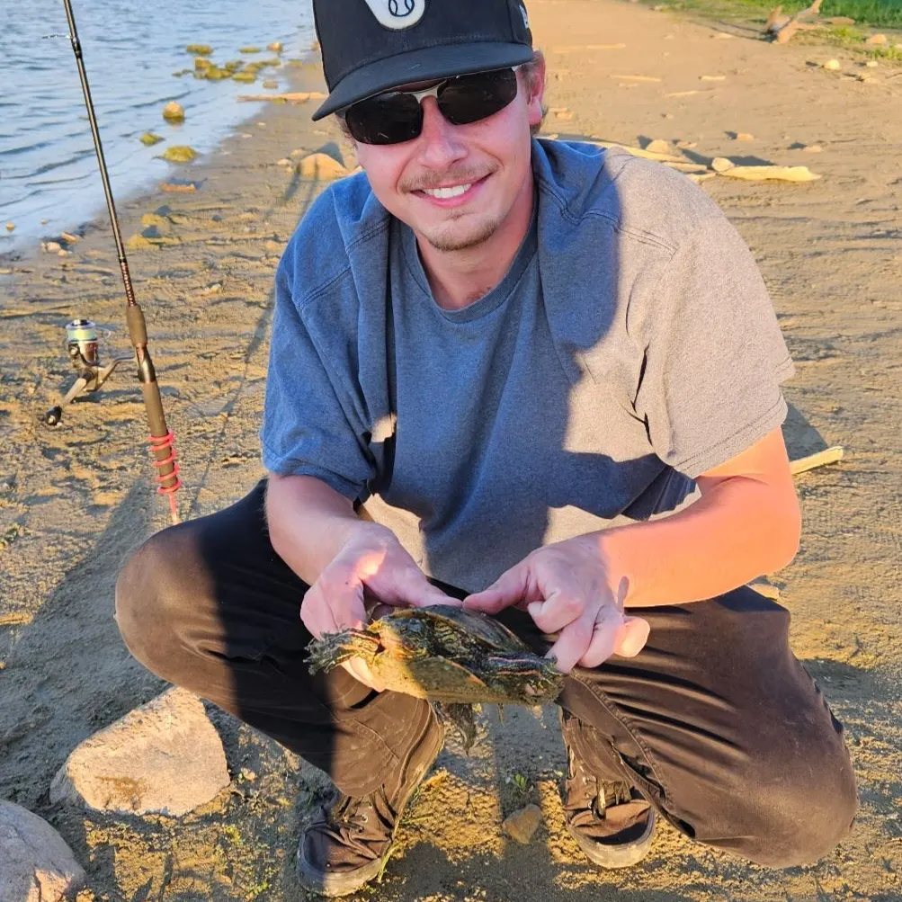 Painted turtle caught on Fishbrain
