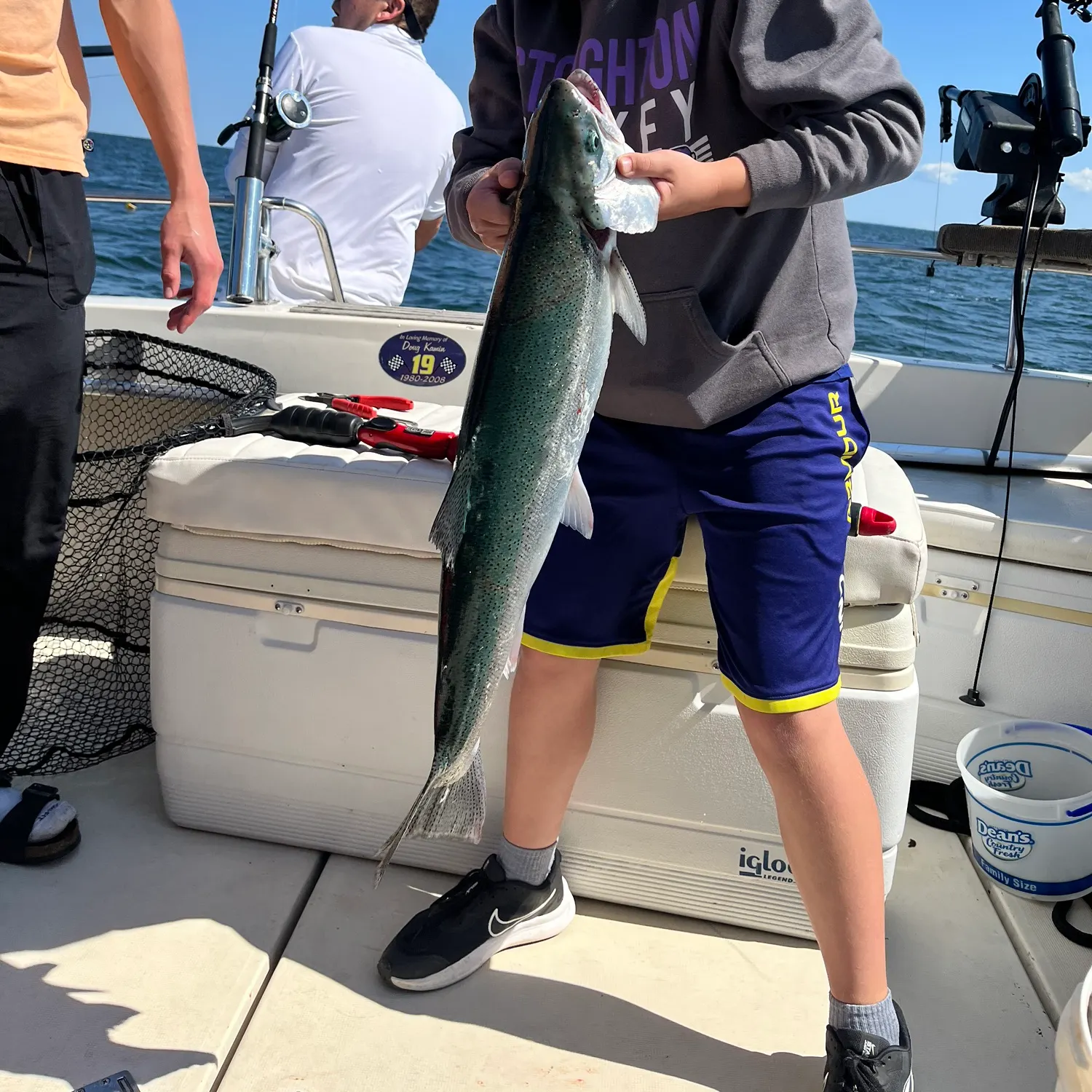 The most recent Lake char catches on Fishbrain