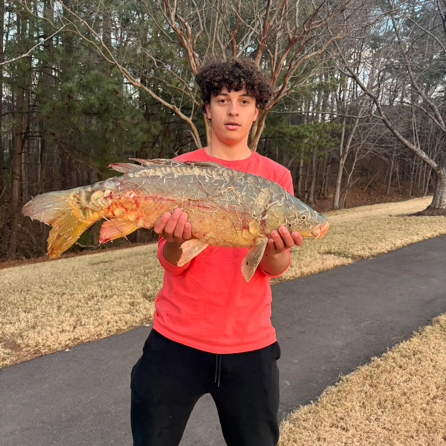 The most recent Mirror carp catches on Fishbrain