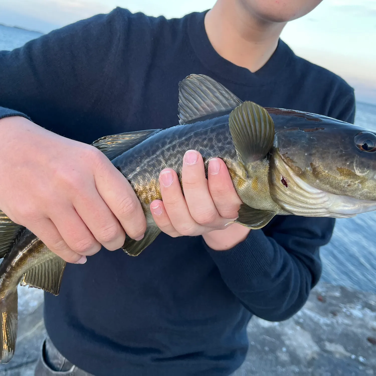most liked catch image