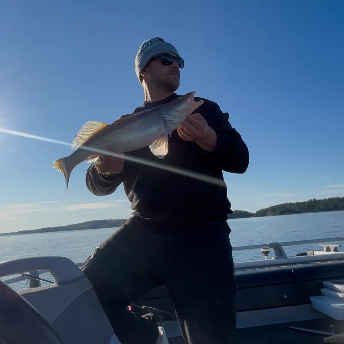The most recent Zander catches on Fishbrain