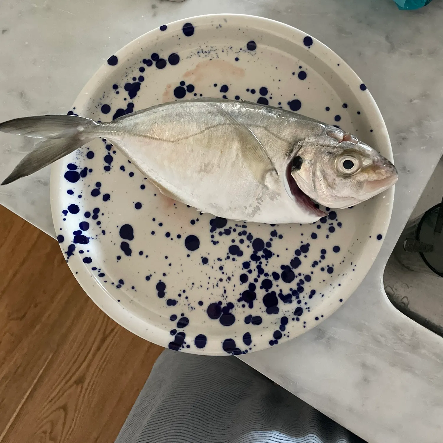 The most recent White trevally catches on Fishbrain