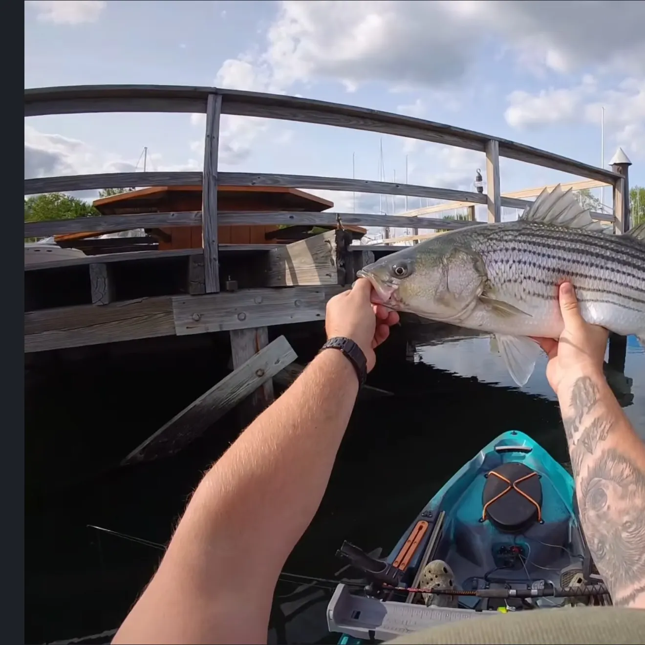 recently logged catches