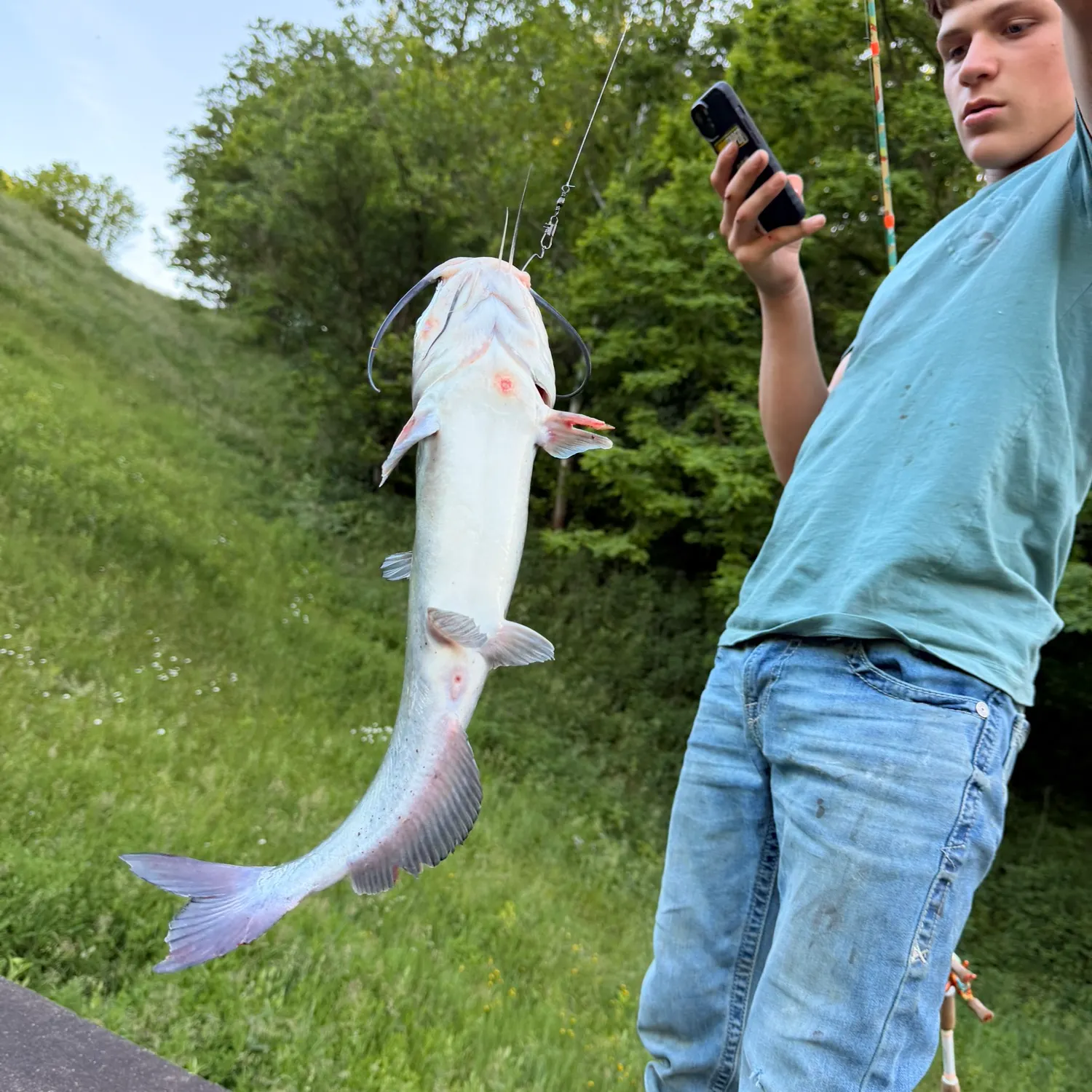 recently logged catches