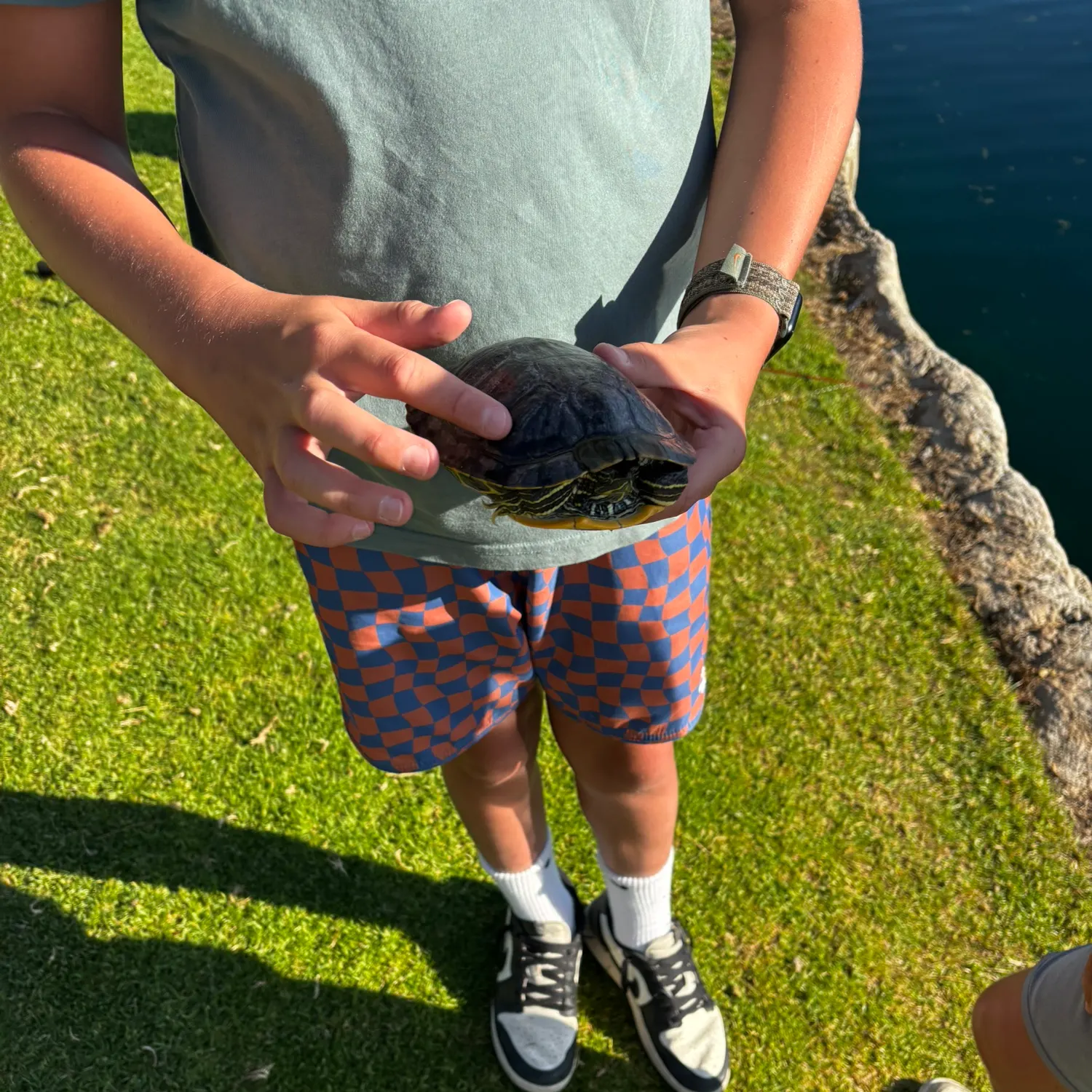 The most recent Australian swamp eel catches on Fishbrain