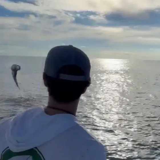 Tarpon caught on Fishbrain