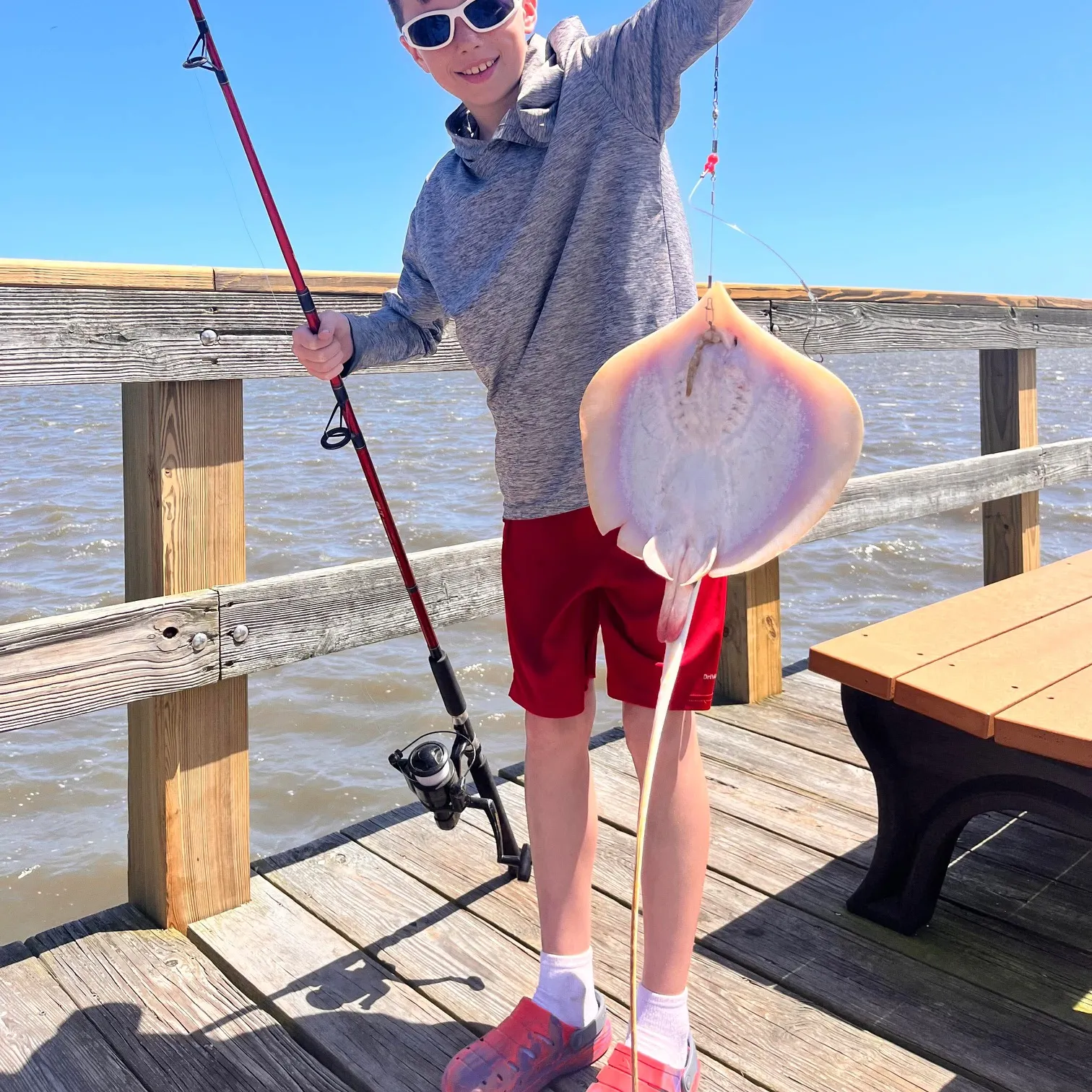 The most recent Atlantic stingray catches on Fishbrain