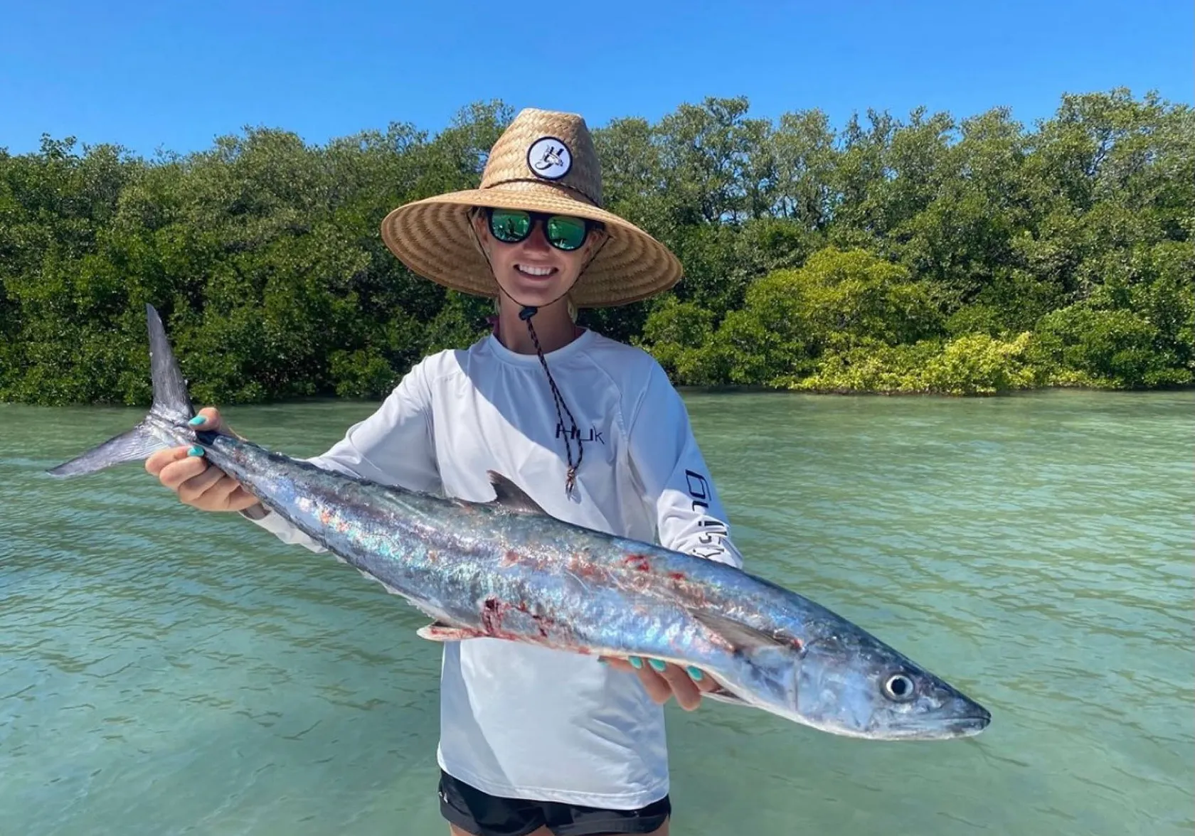 King mackerel