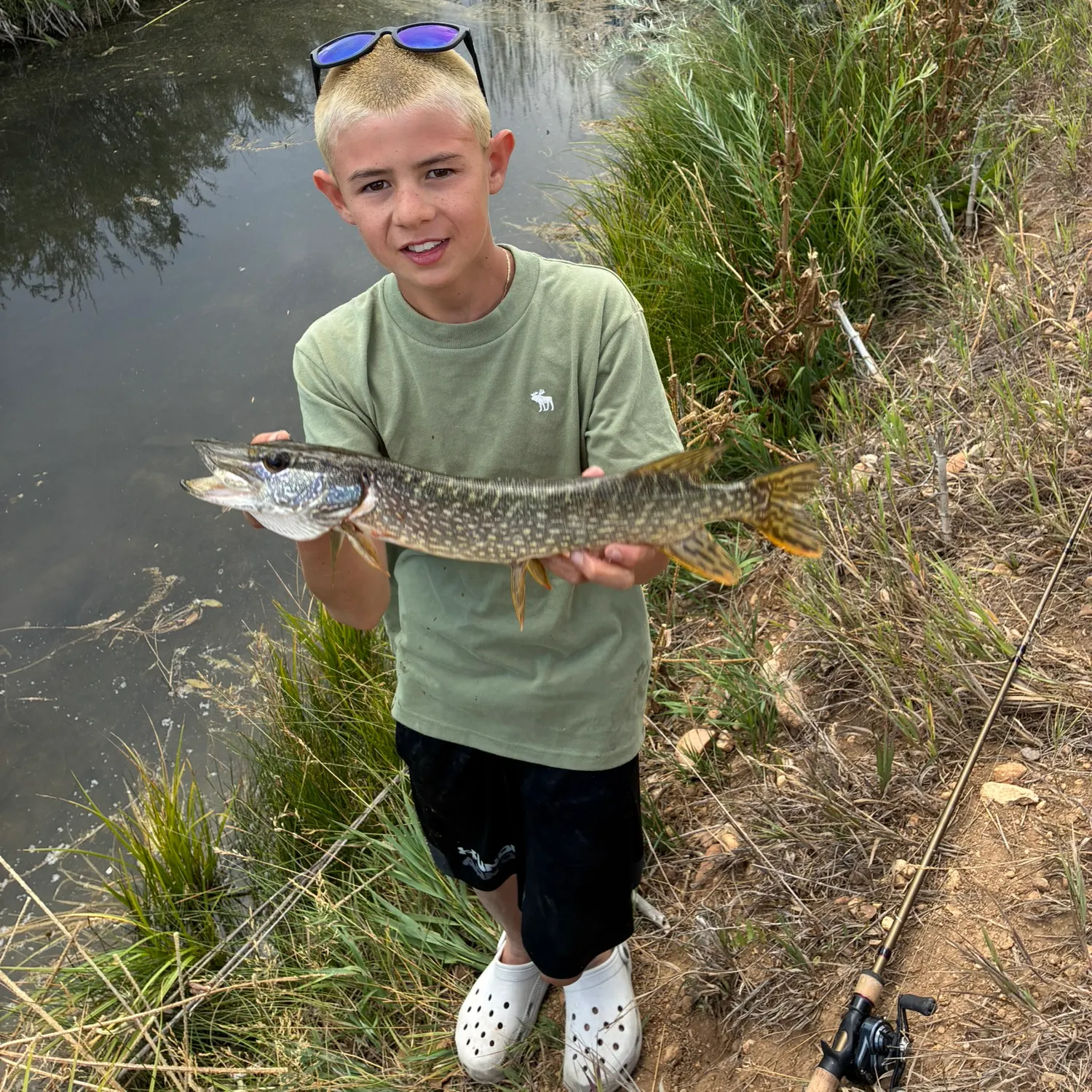 Northern pike caught on Fishbrain