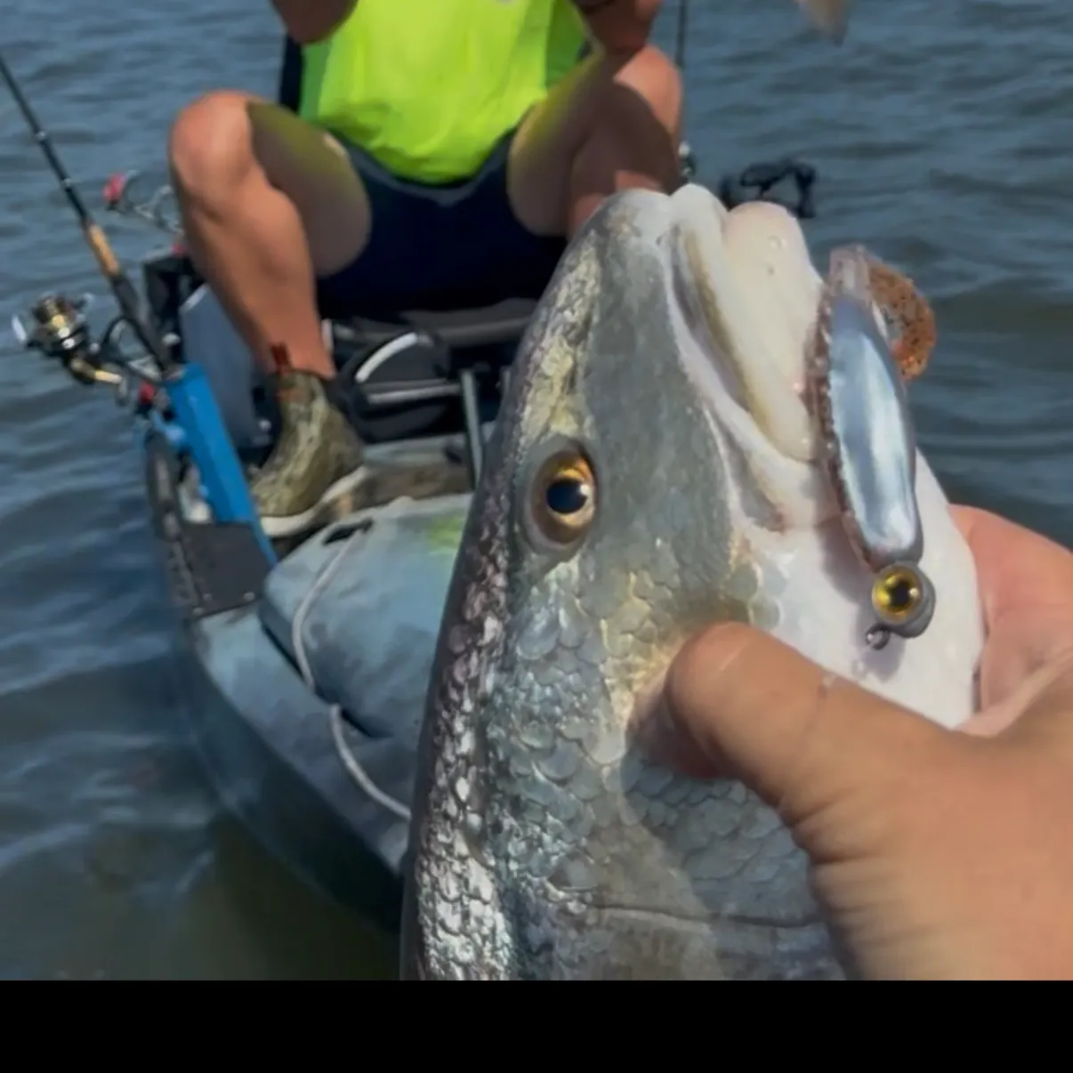 Fish caught on Fishbrain