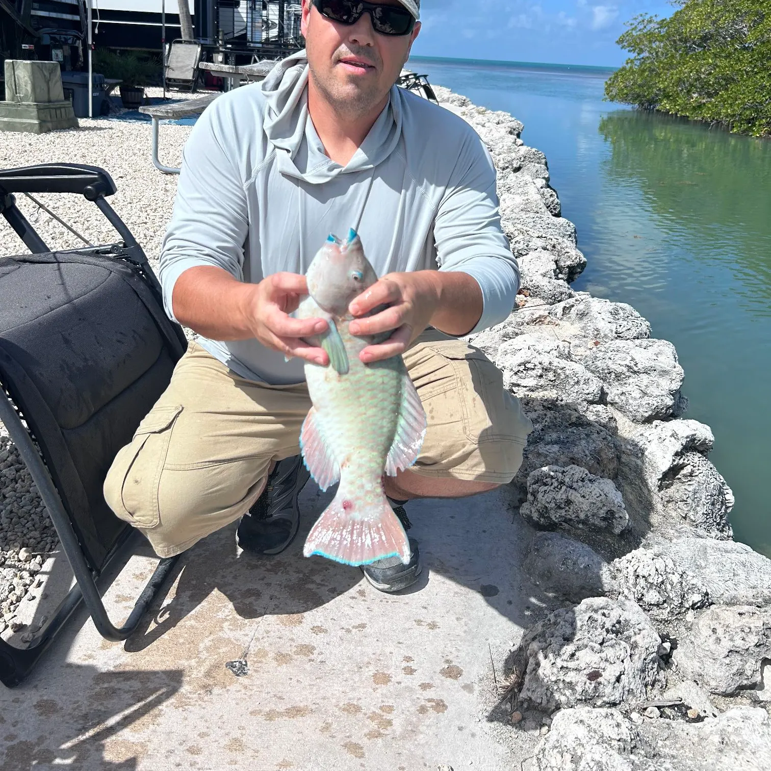The most recent Rainbow parrotfish catches on Fishbrain