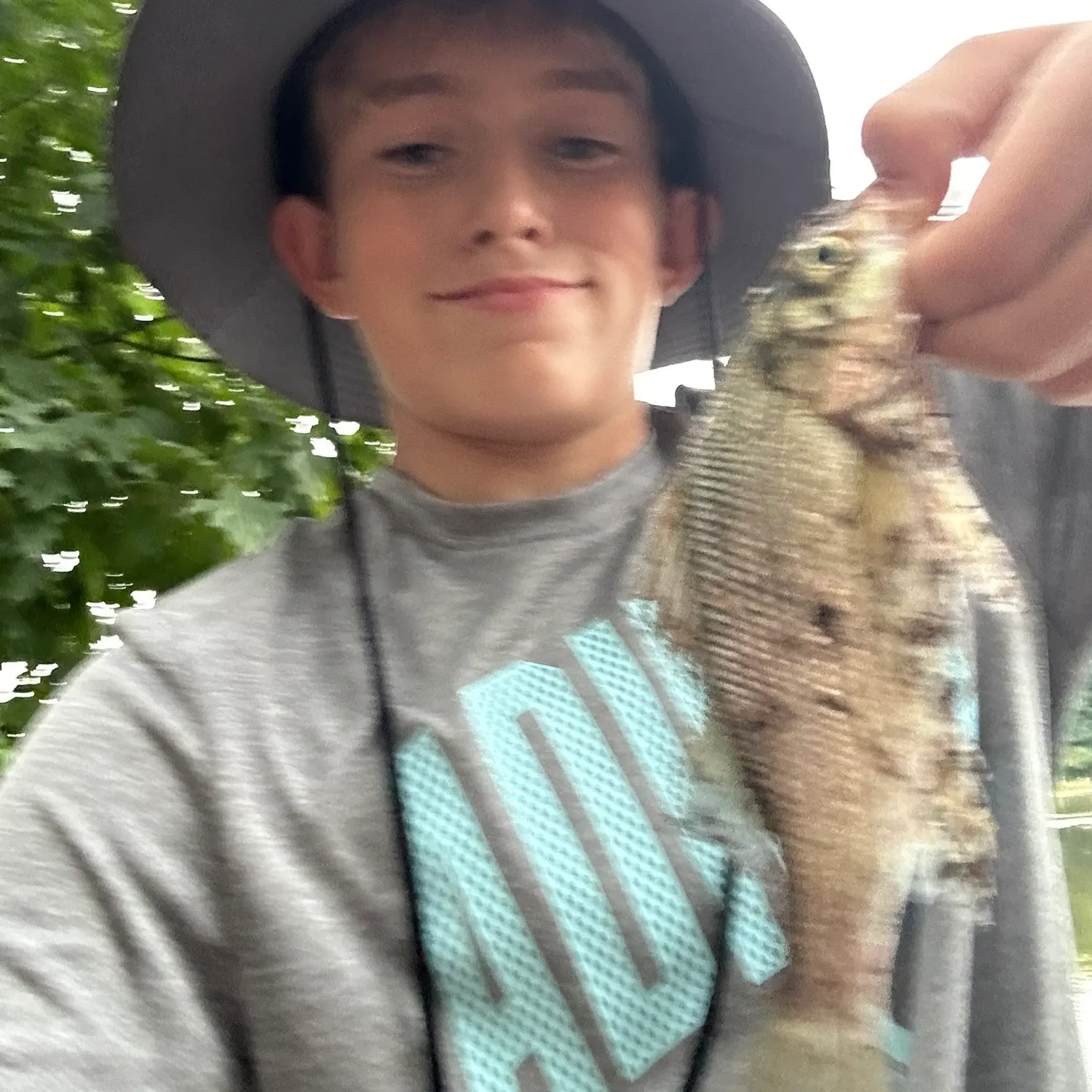 Lake whitefish caught on Fishbrain