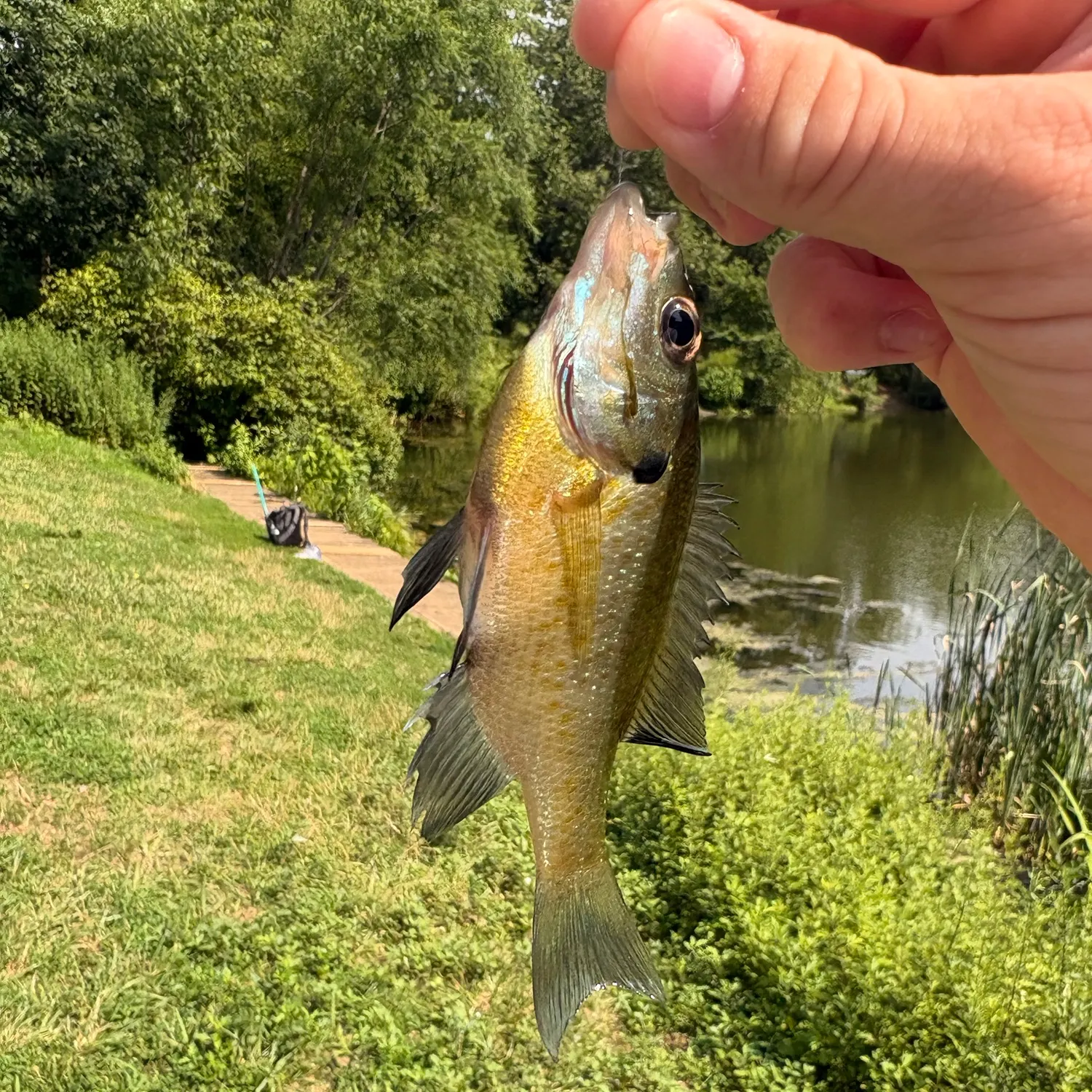 catch