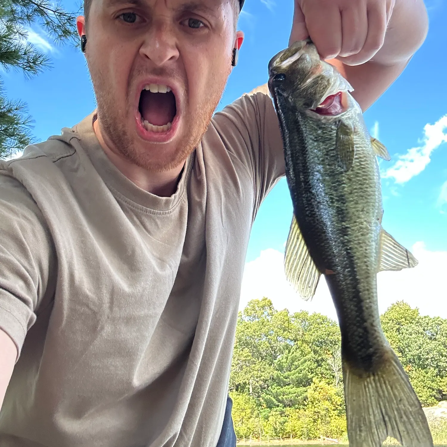 Largemouth bass caught on Fishbrain