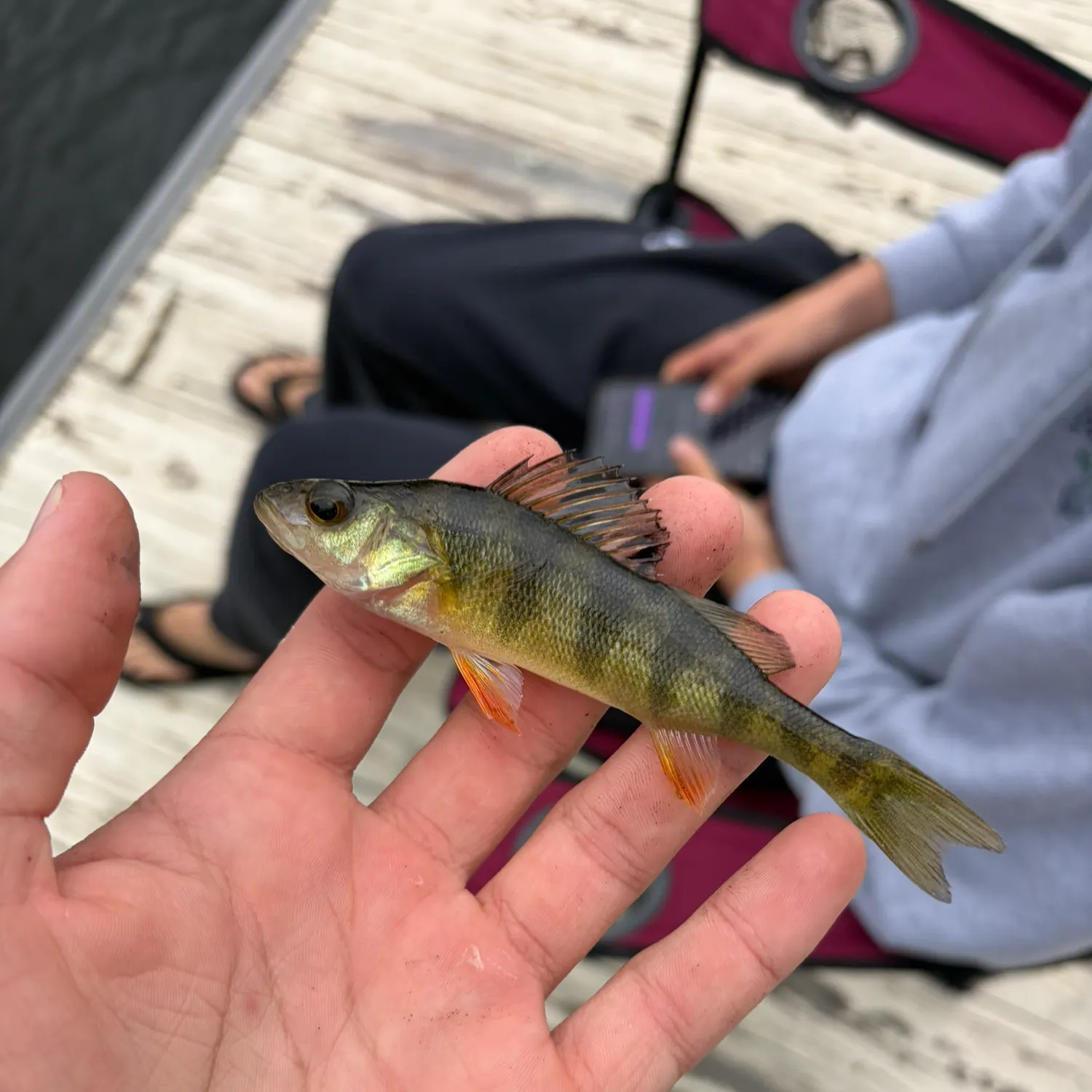 catch