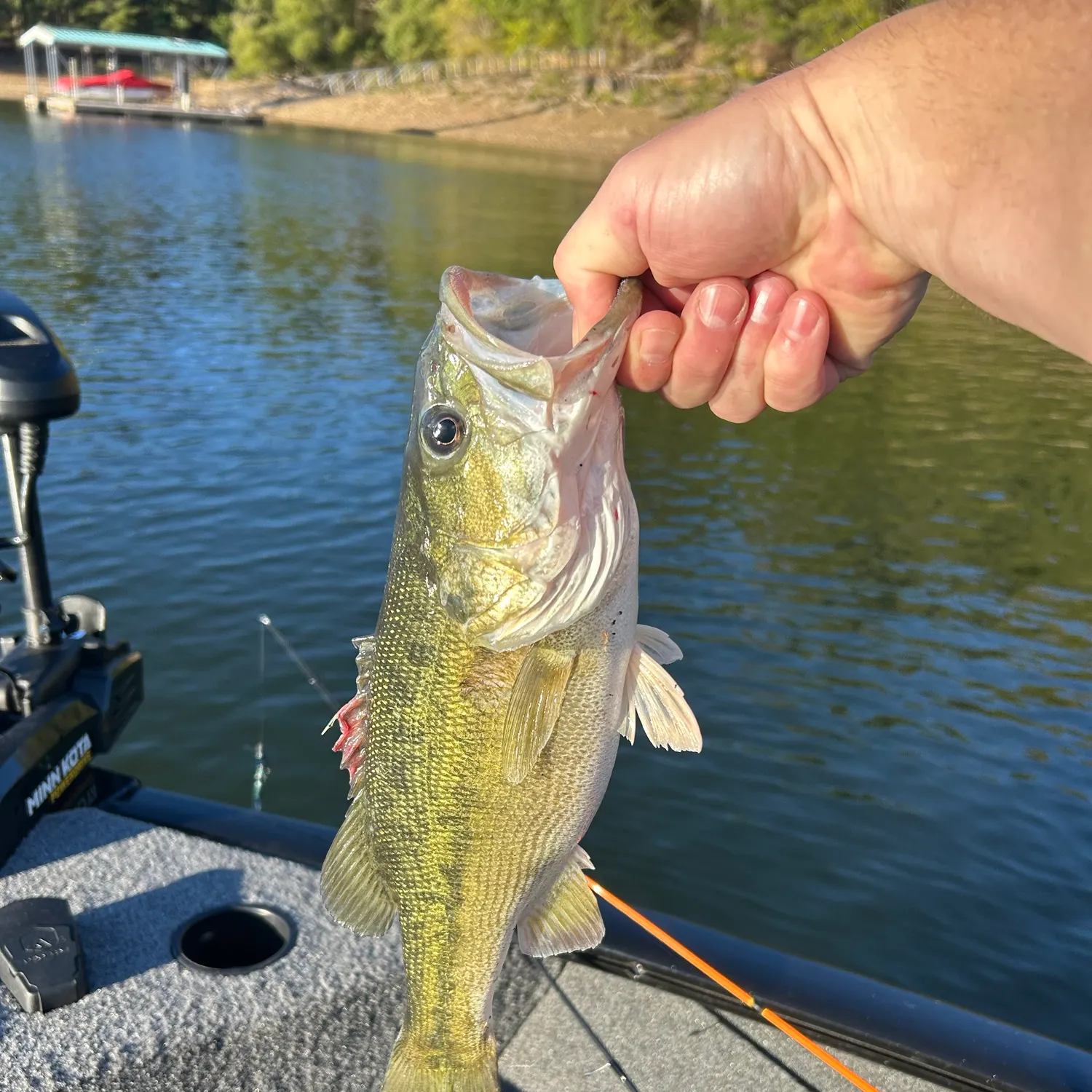 Fish caught on Fishbrain