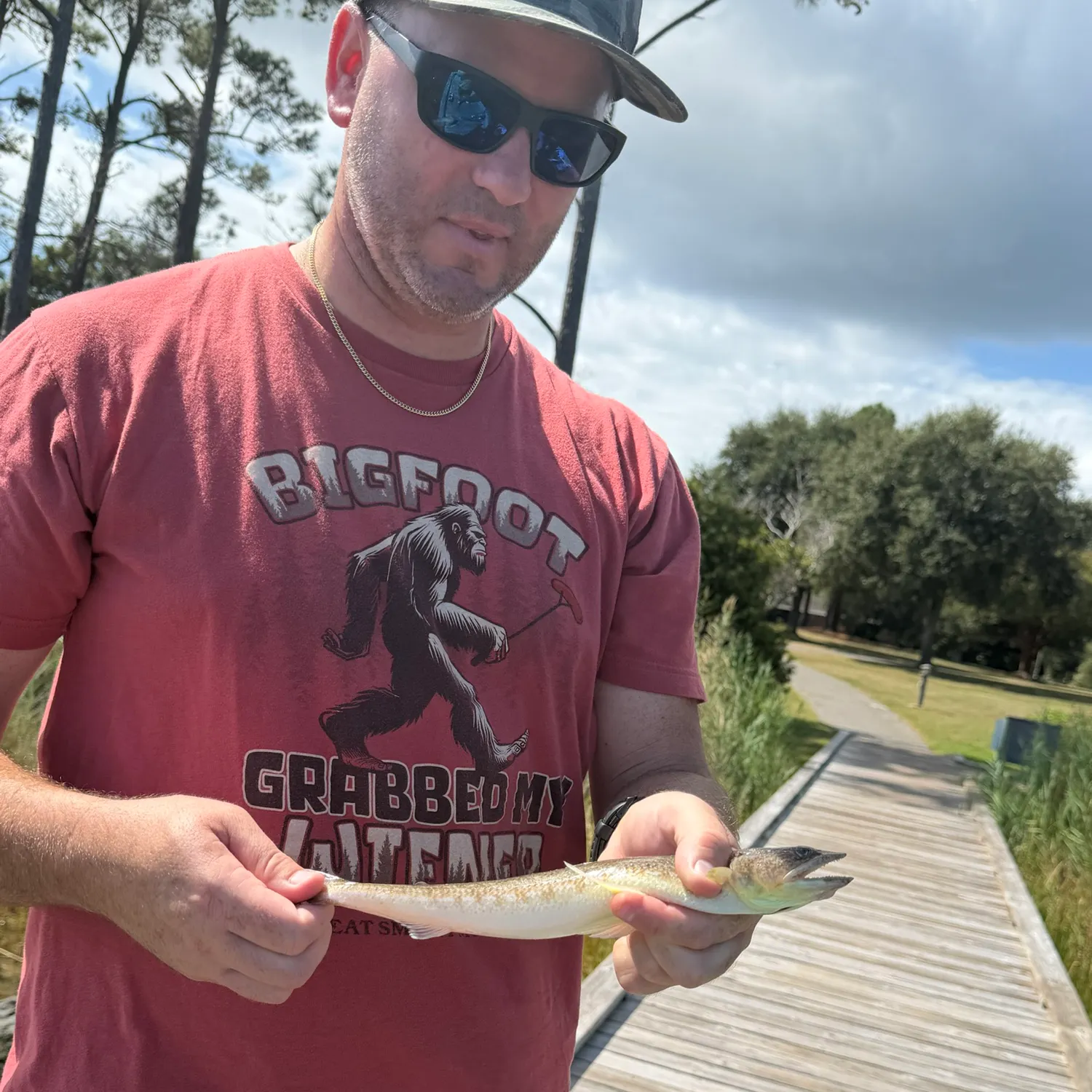 Inshore lizardfish caught on Fishbrain