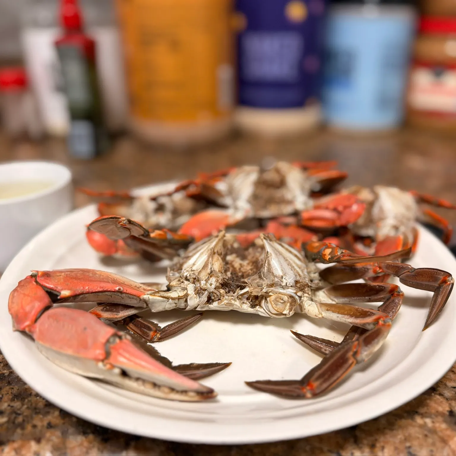 The most recent Blue crab catches on Fishbrain