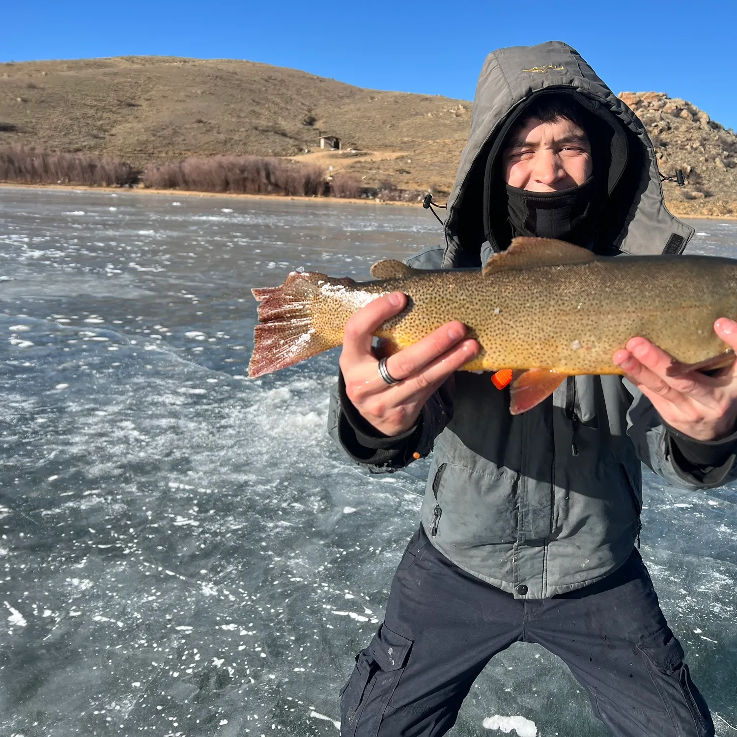 The most recent Cutbow catches on Fishbrain