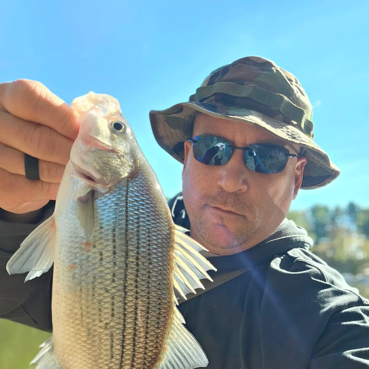 Wiper caught on Fishbrain