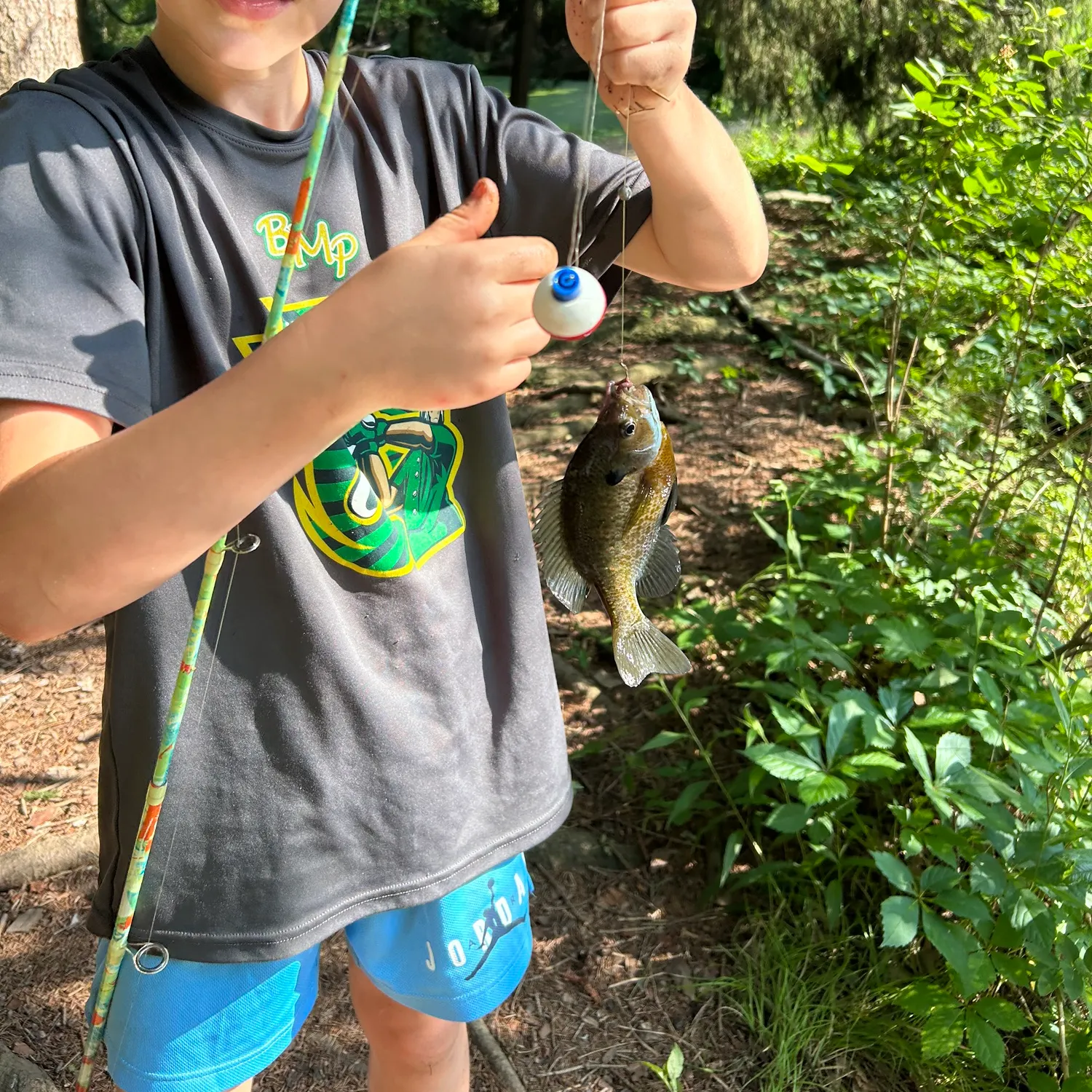 Bluegill caught on Fishbrain