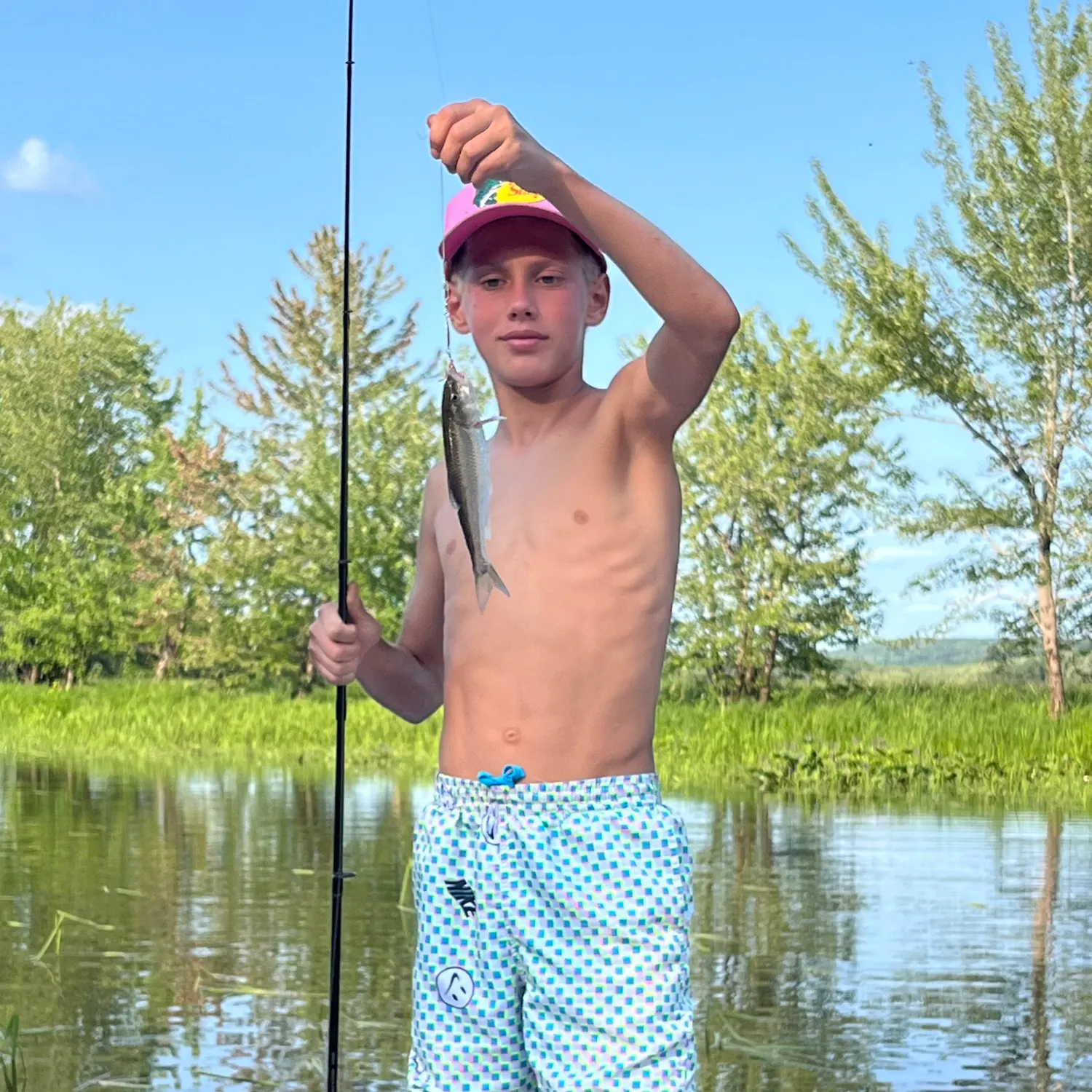 The most recent Creek chub catches on Fishbrain