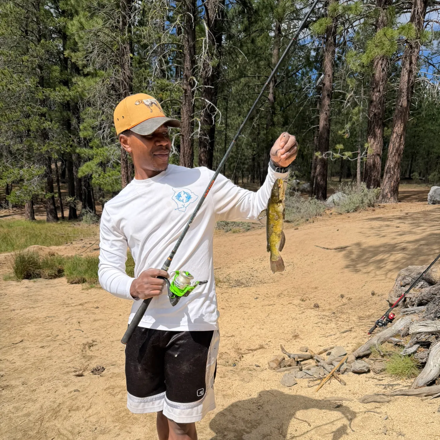 Black bullhead caught on Fishbrain