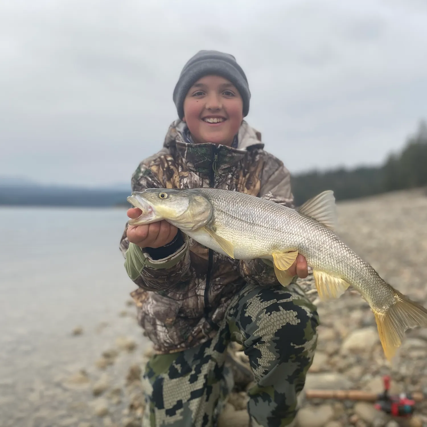 The most recent Northern pikeminnow catches on Fishbrain