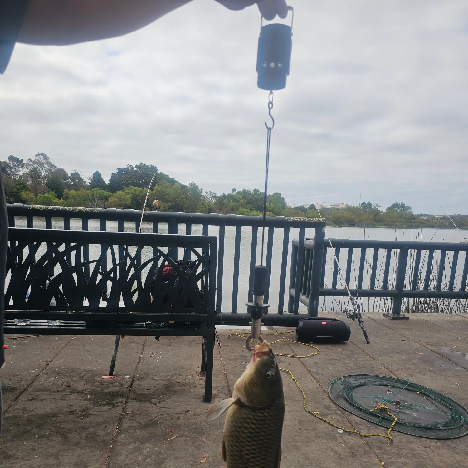 catch