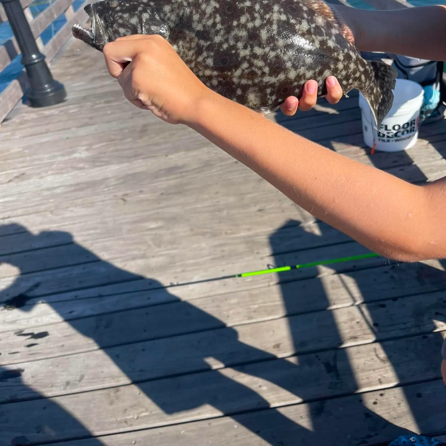 Summer flounder caught on Fishbrain