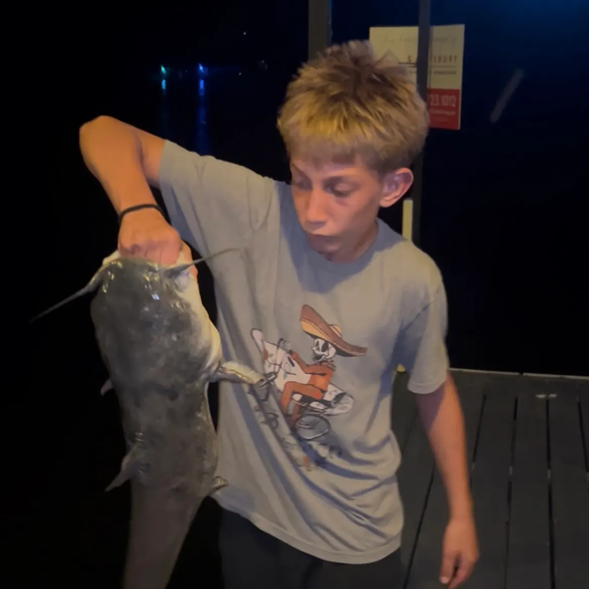 Blue catfish caught on Fishbrain
