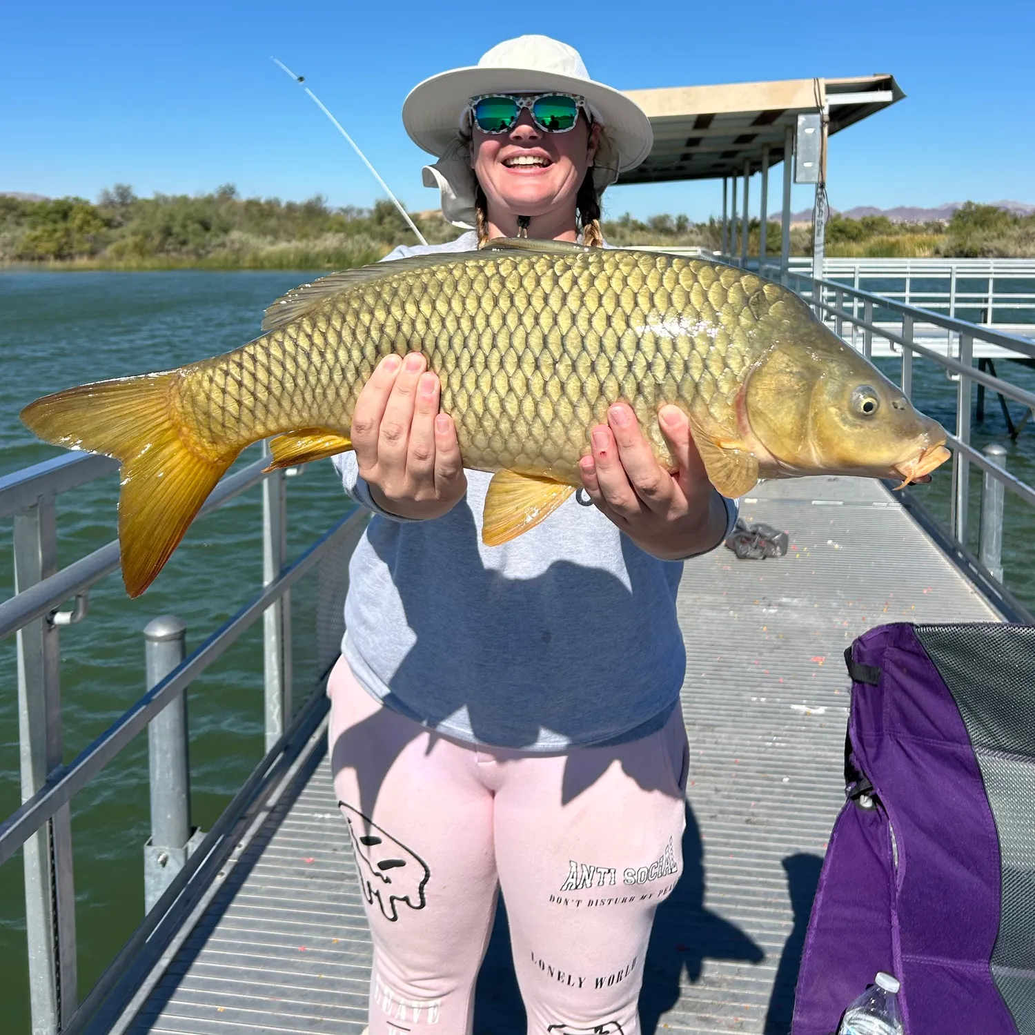 Common carp caught on Fishbrain