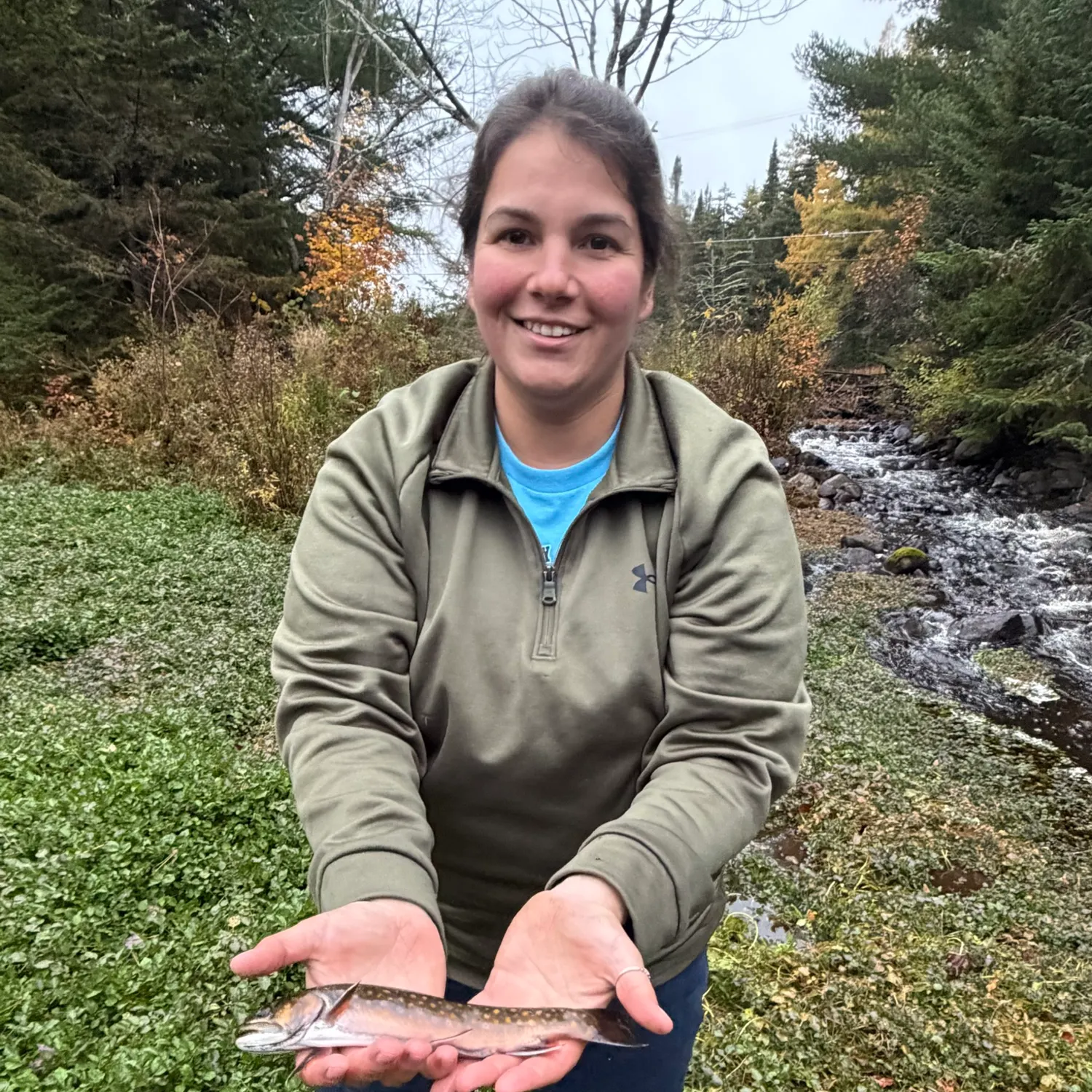 Brook trout caught on Fishbrain