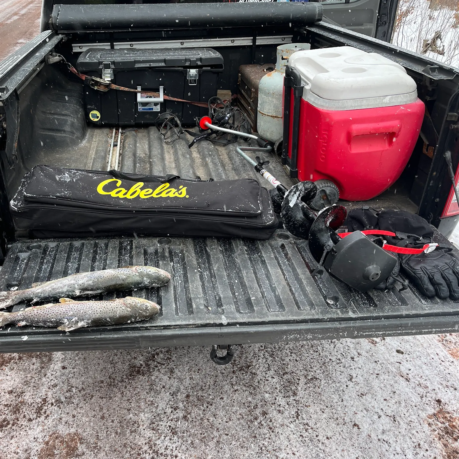 recently logged catches