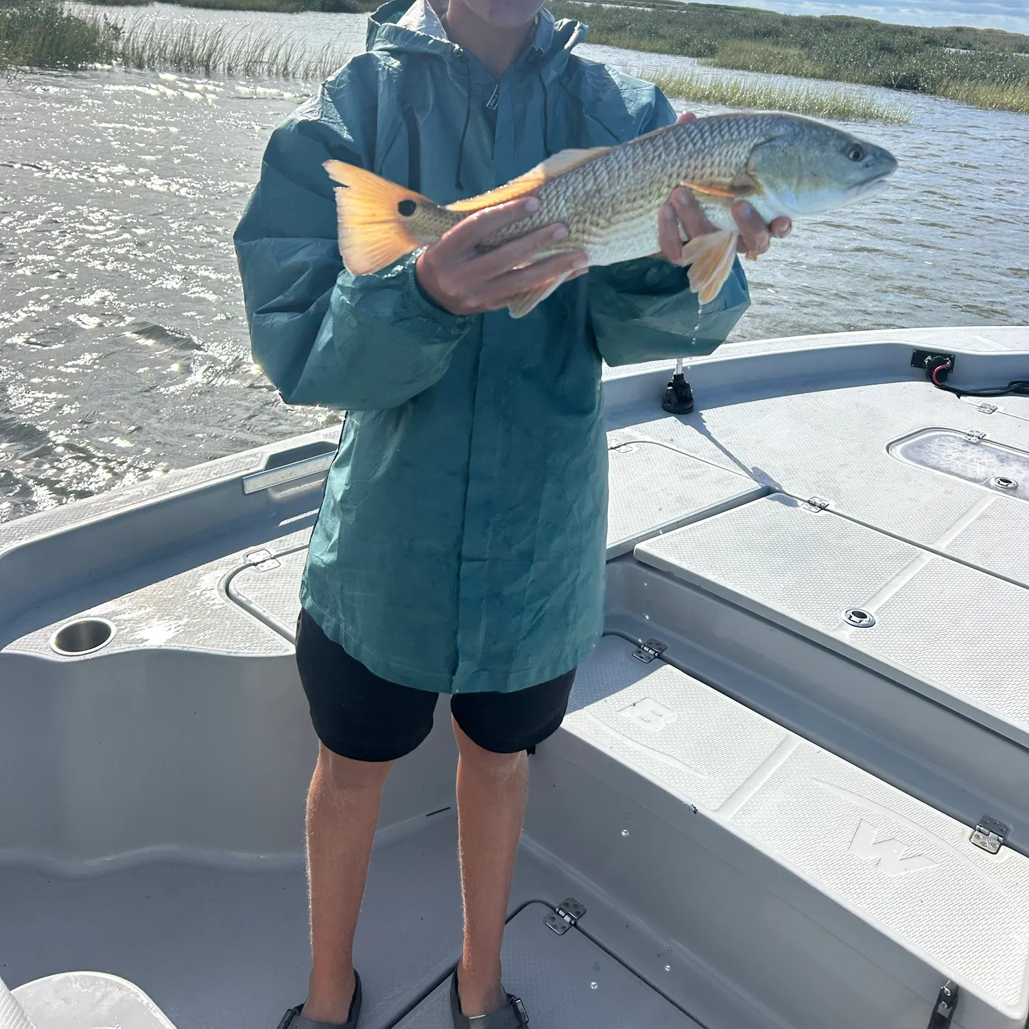Red drum caught on Fishbrain