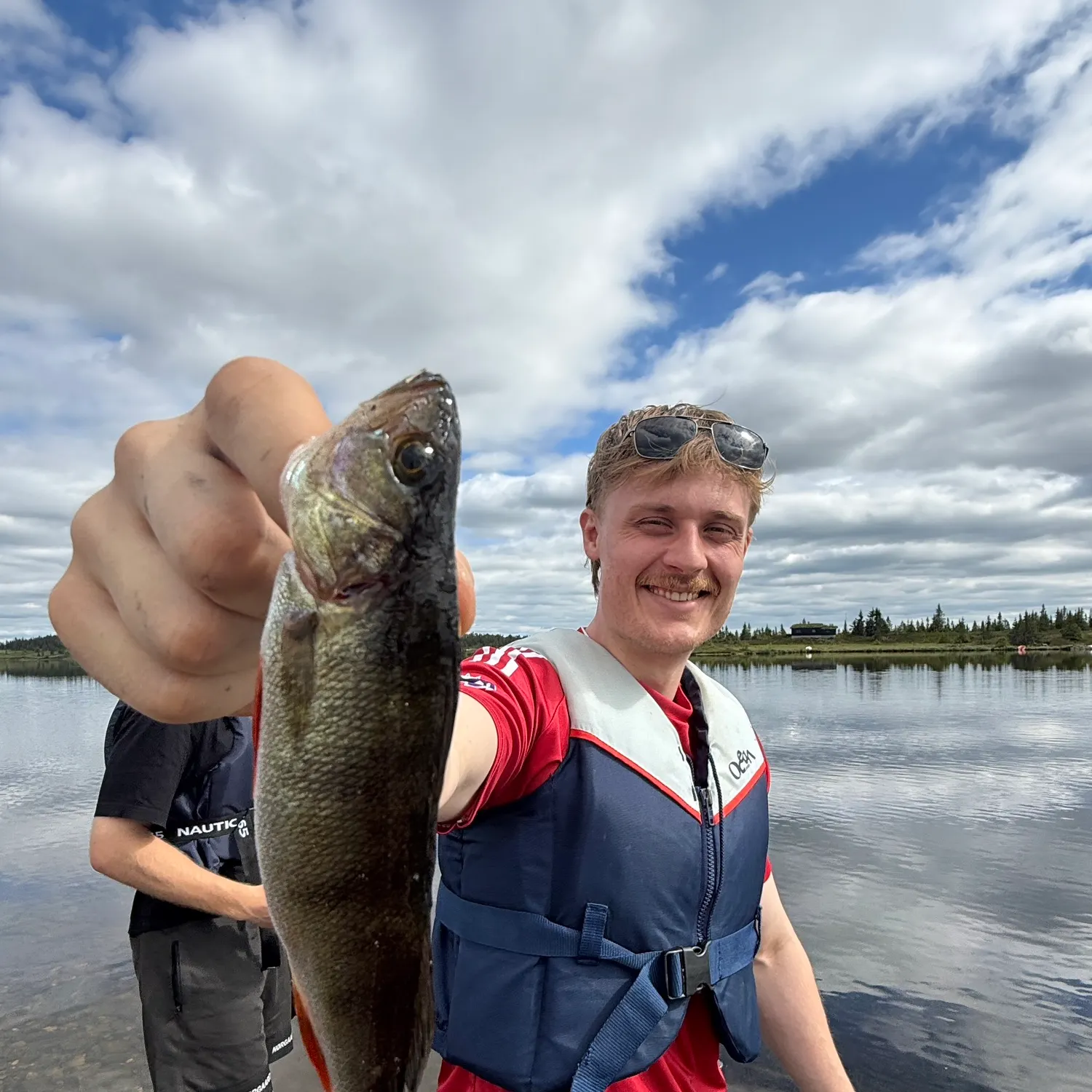 European perch caught on Fishbrain