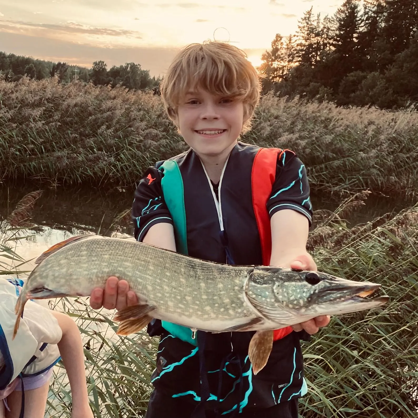Northern pike caught on Fishbrain
