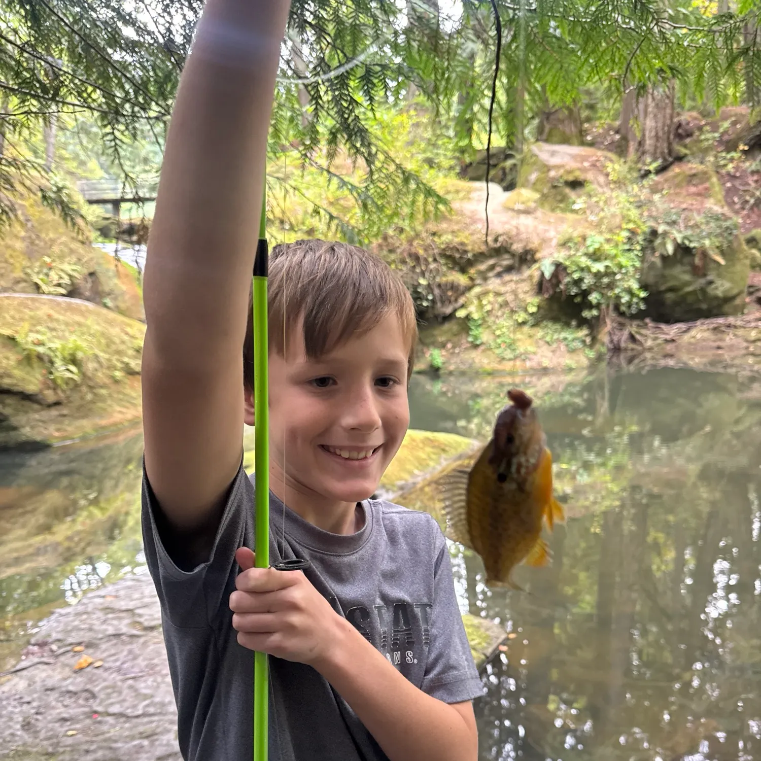 Pumpkinseed caught on Fishbrain