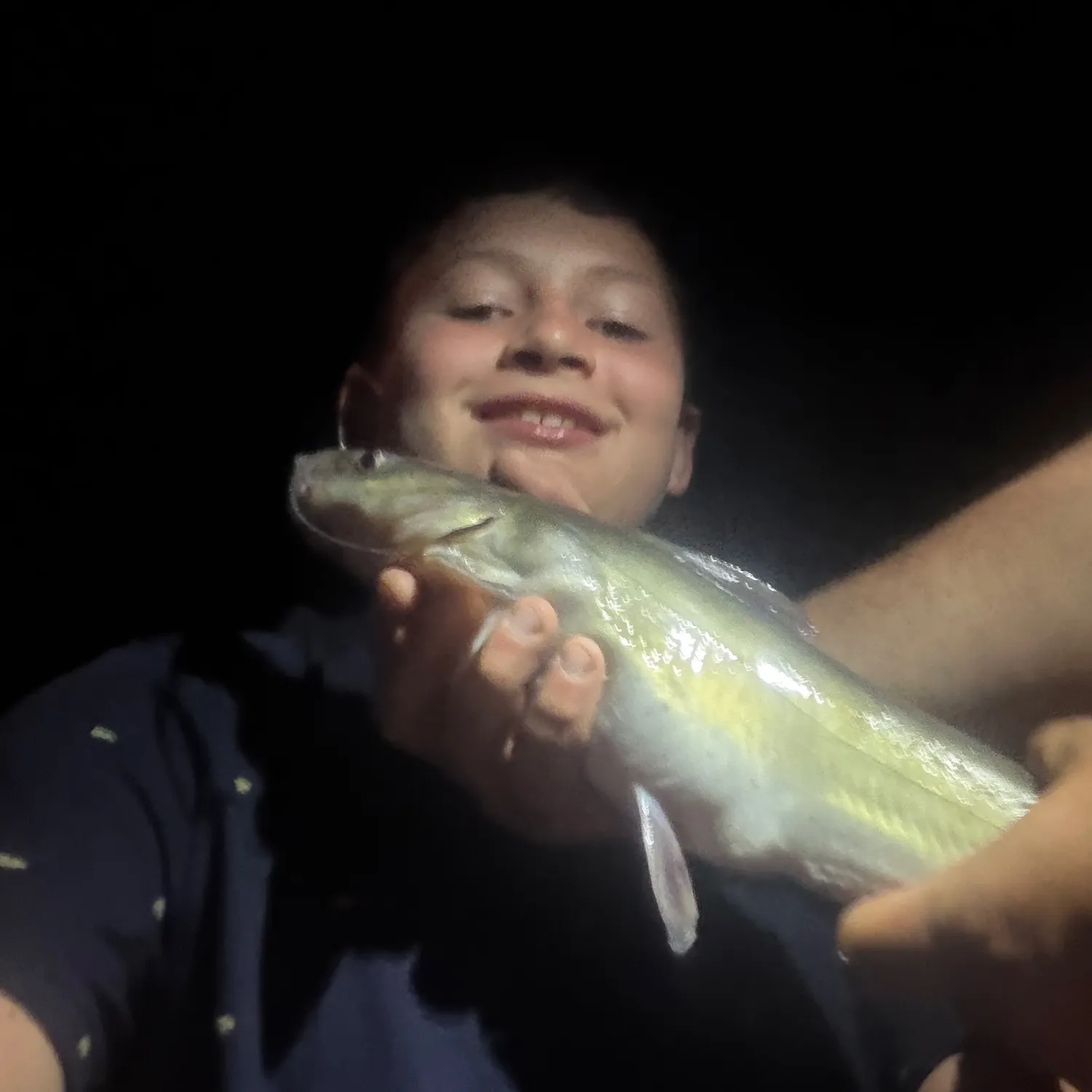 Channel catfish caught on Fishbrain